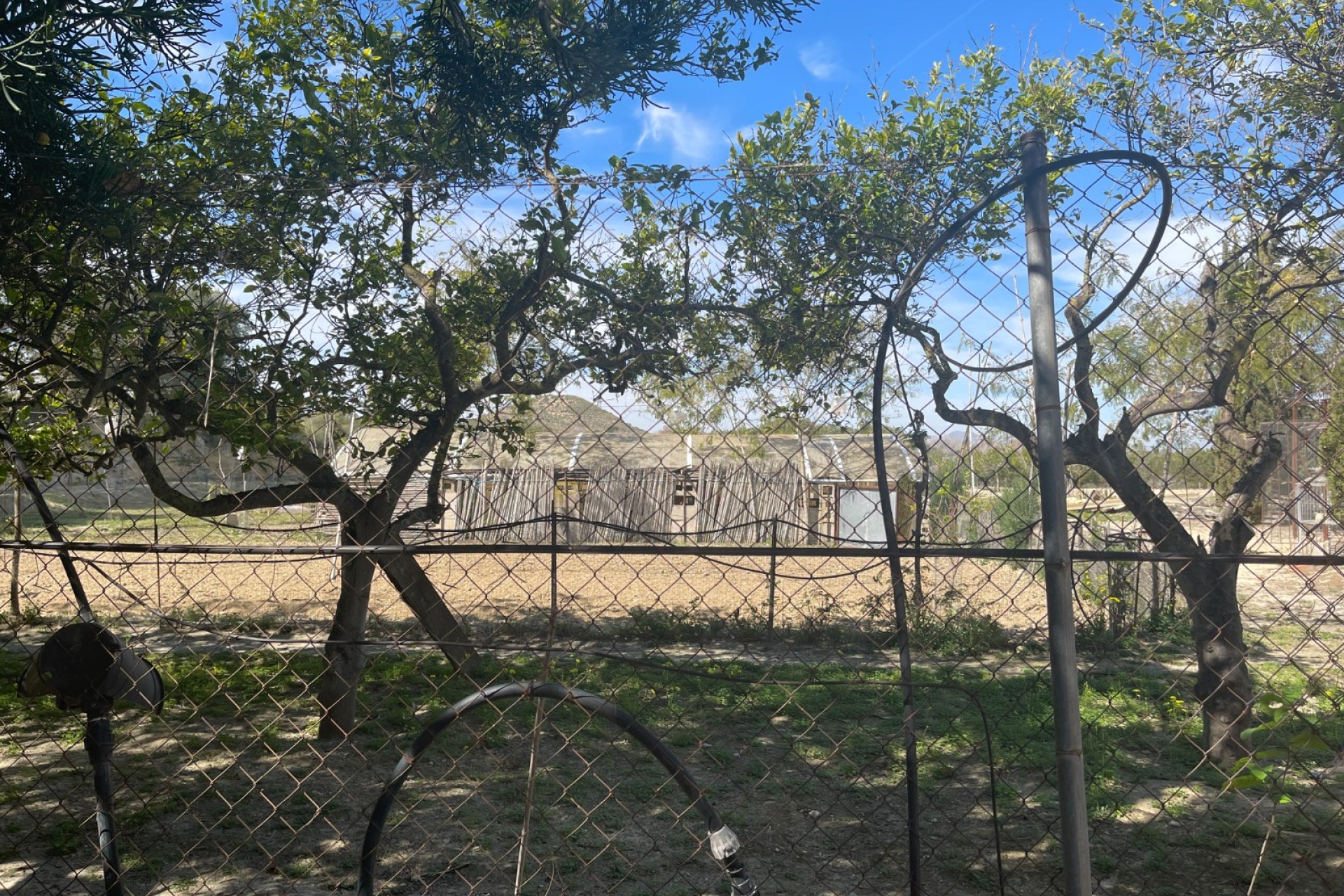 Revente - Villa -
Guardamar del Segura - Costa Blanca