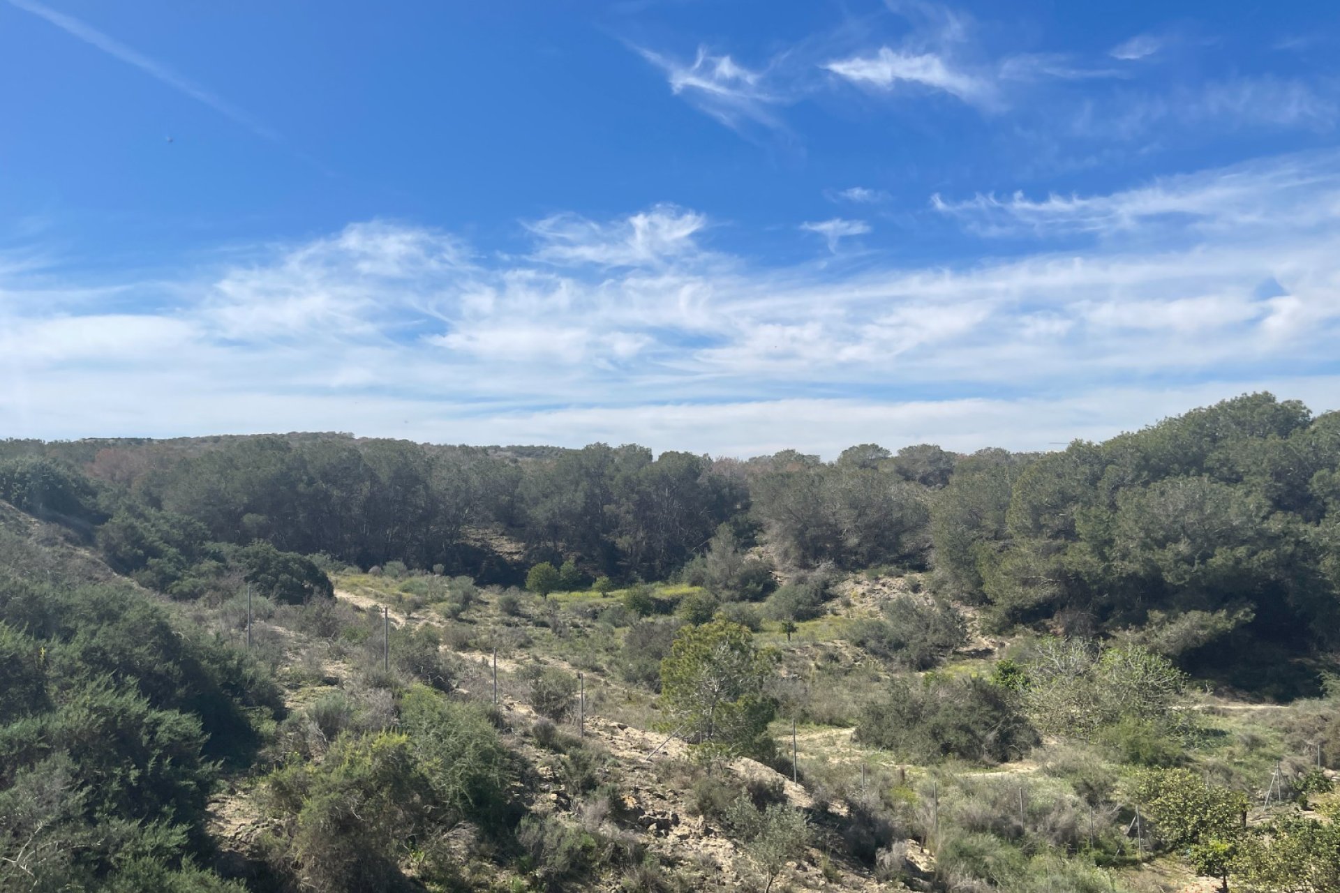 Revente - Villa -
Guardamar del Segura - Costa Blanca