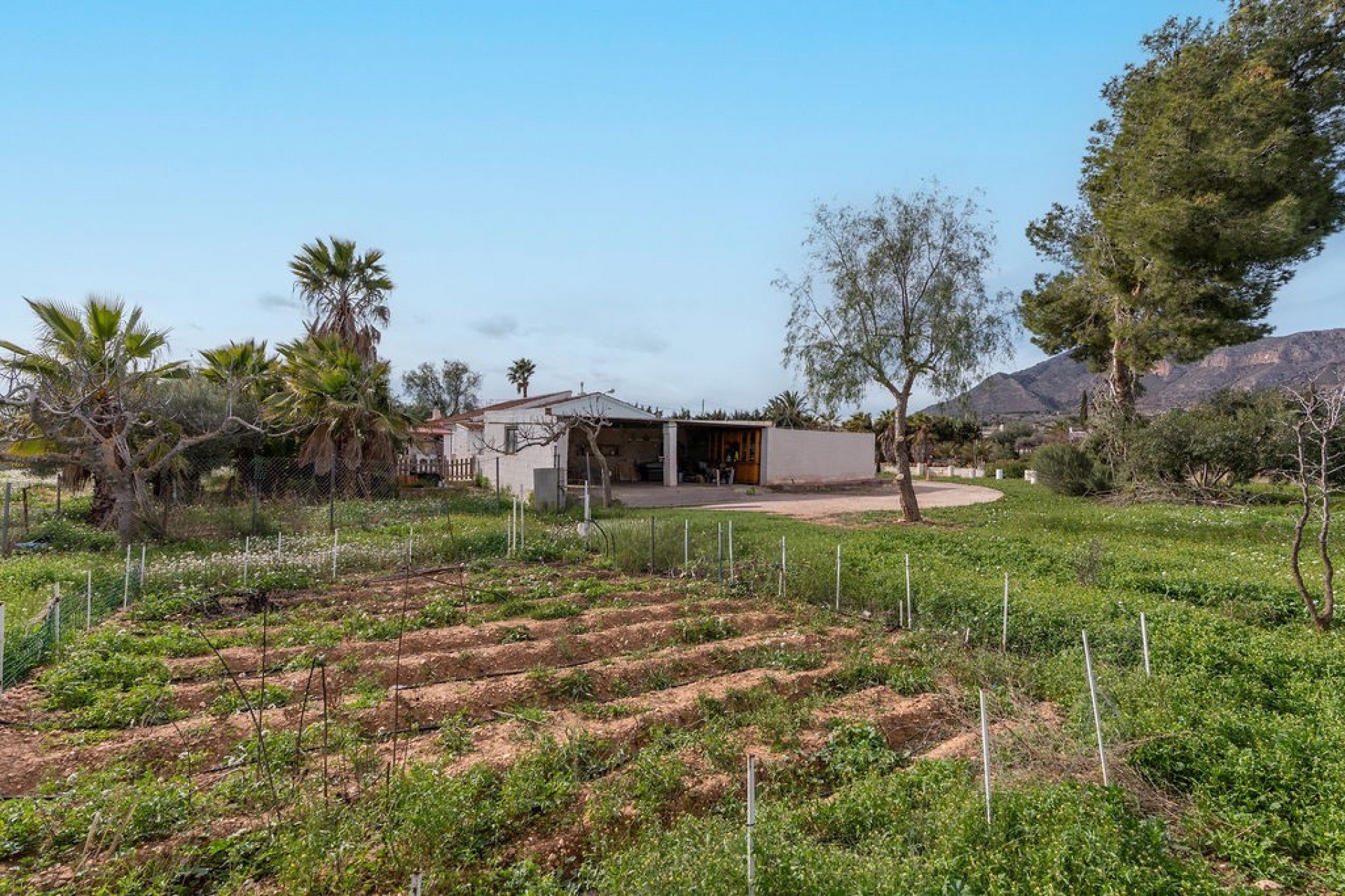 Revente - Villa -
Hondón de las Nieves - Inland