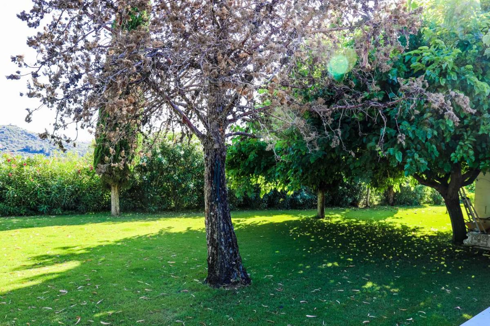 Revente - Villa -
Jesus Pobre - Inland
