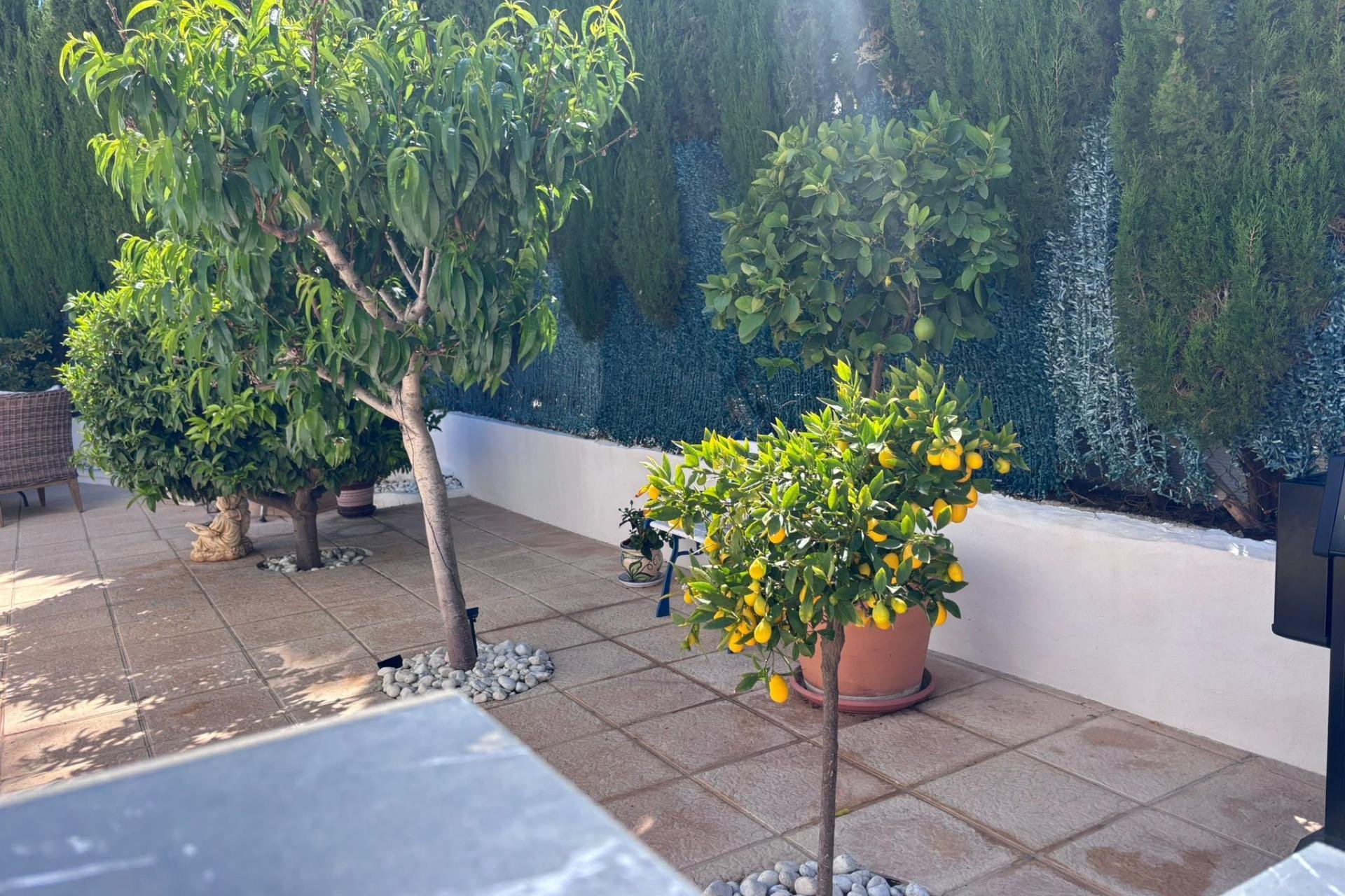Revente - Villa / Jumelée -
Torrevieja - Los Balcones