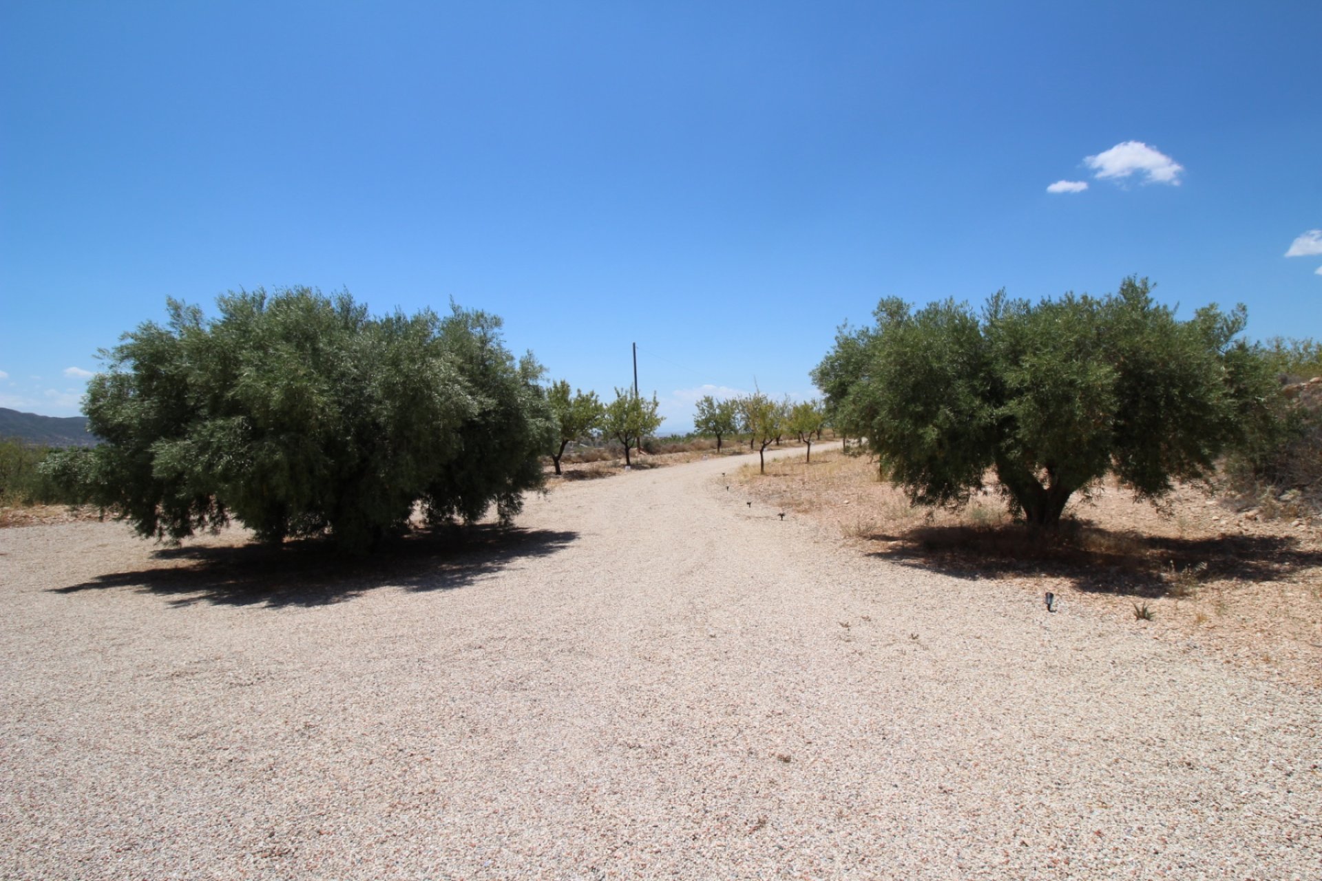 Revente - Villa -
Macisvenda - Inland