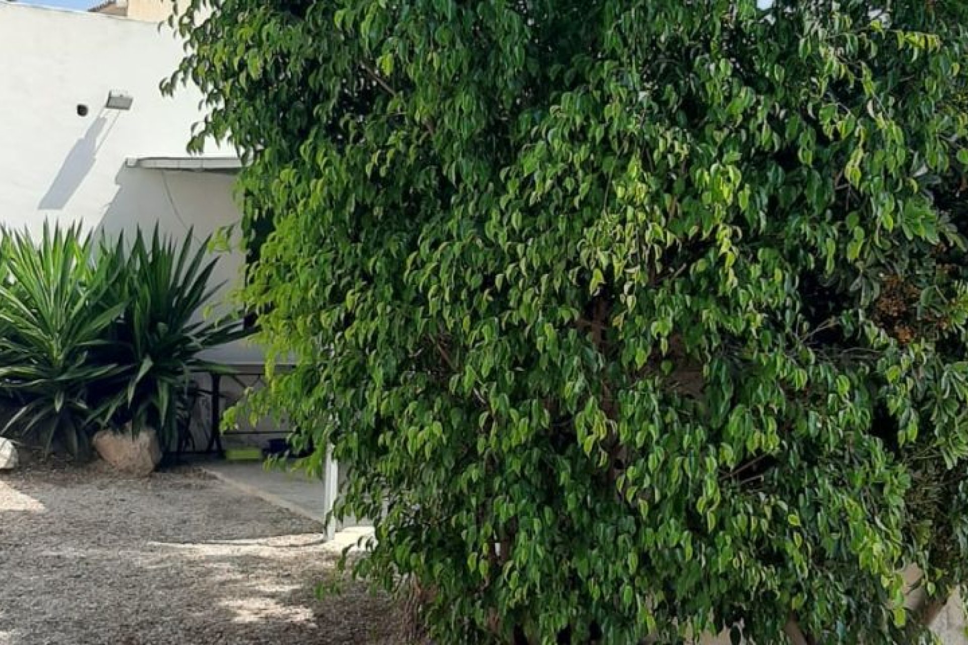Revente - Villa -
Macisvenda - Inland