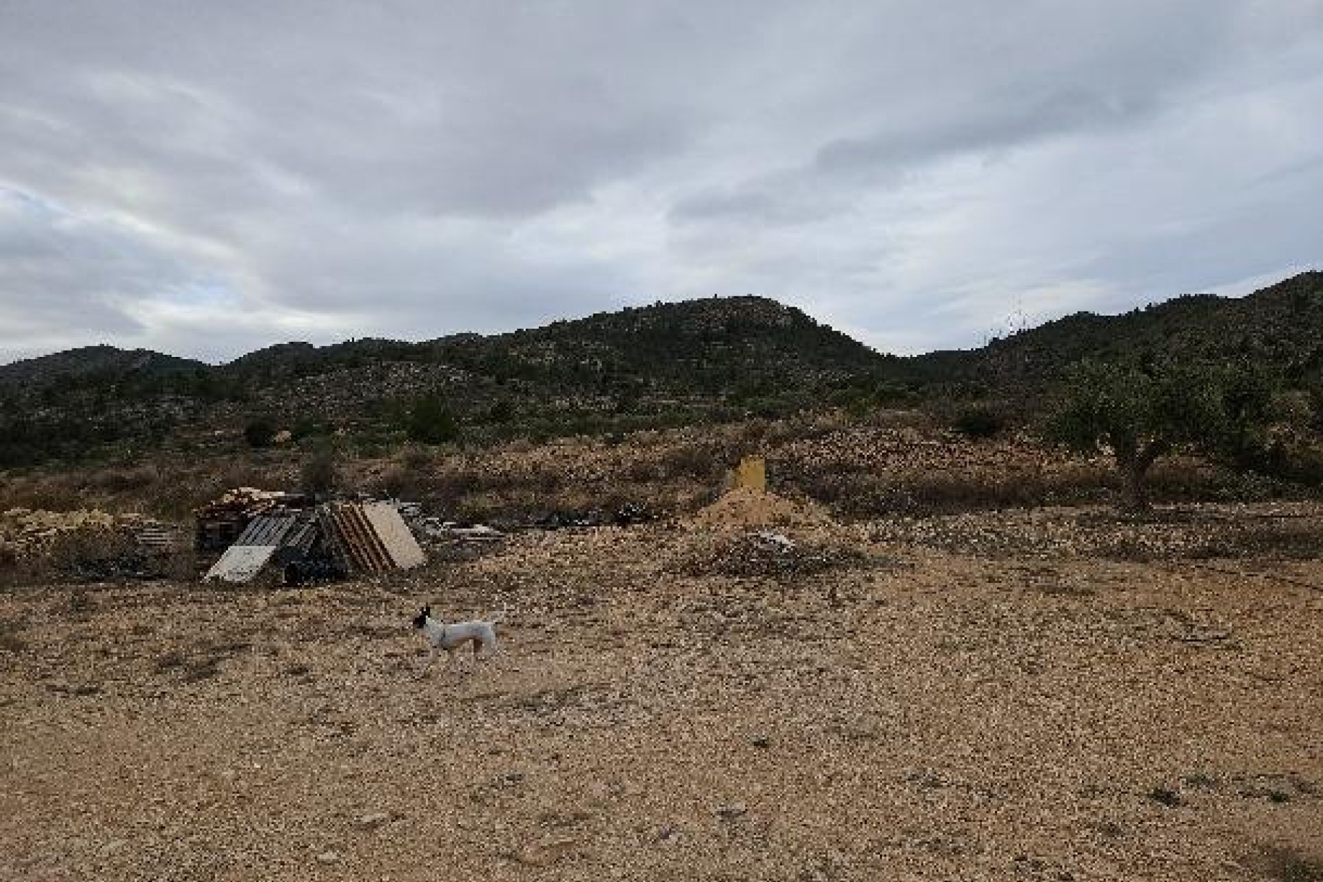Revente - Villa -
Monóvar/Monóver - 03640