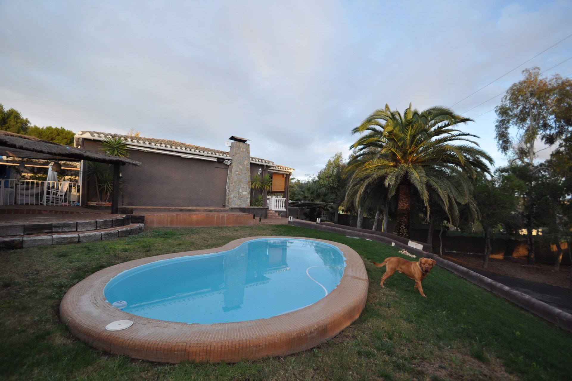 Revente - Villa -
Monóvar/Monóver - Inland
