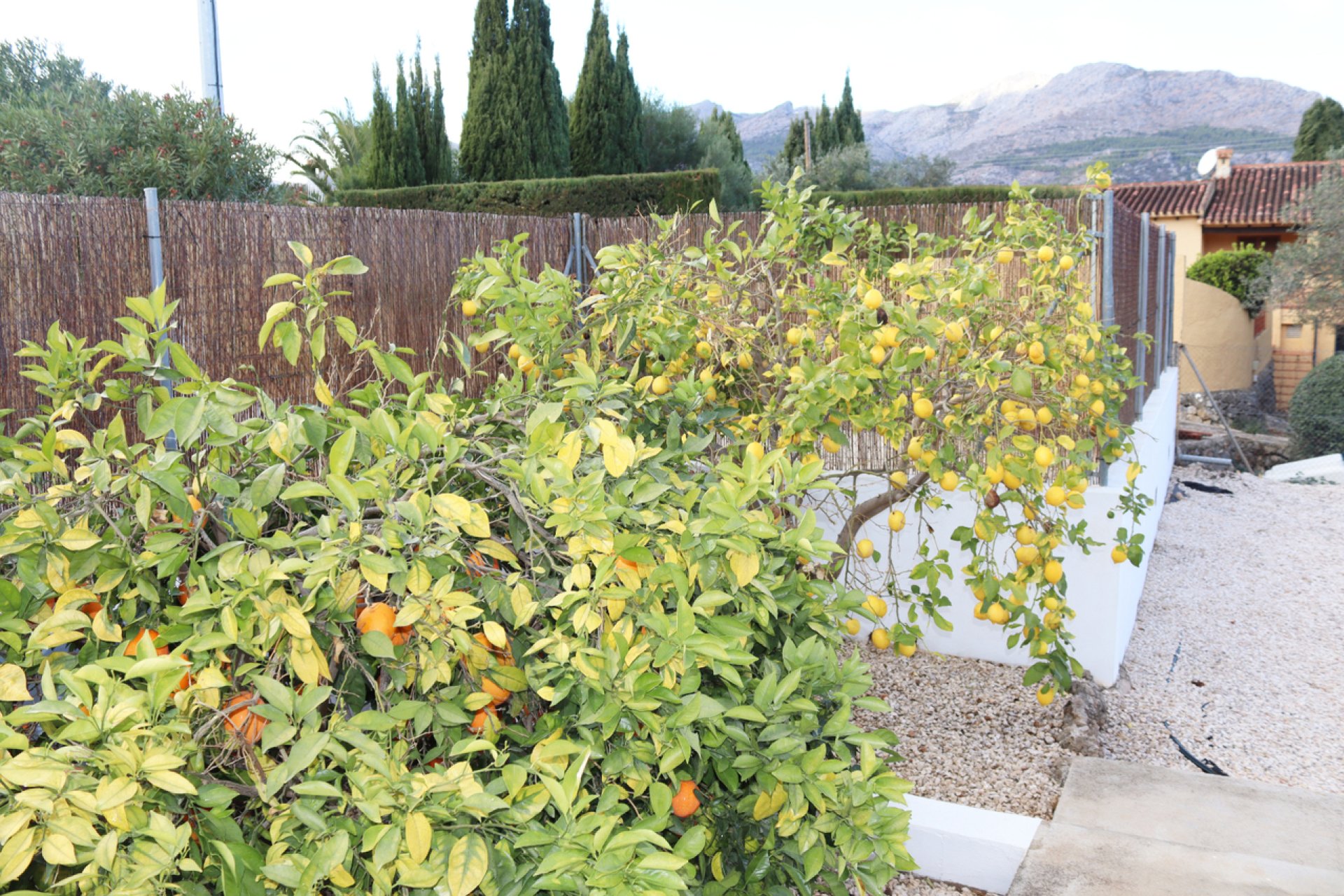 Revente - Villa -
Orba - Inland