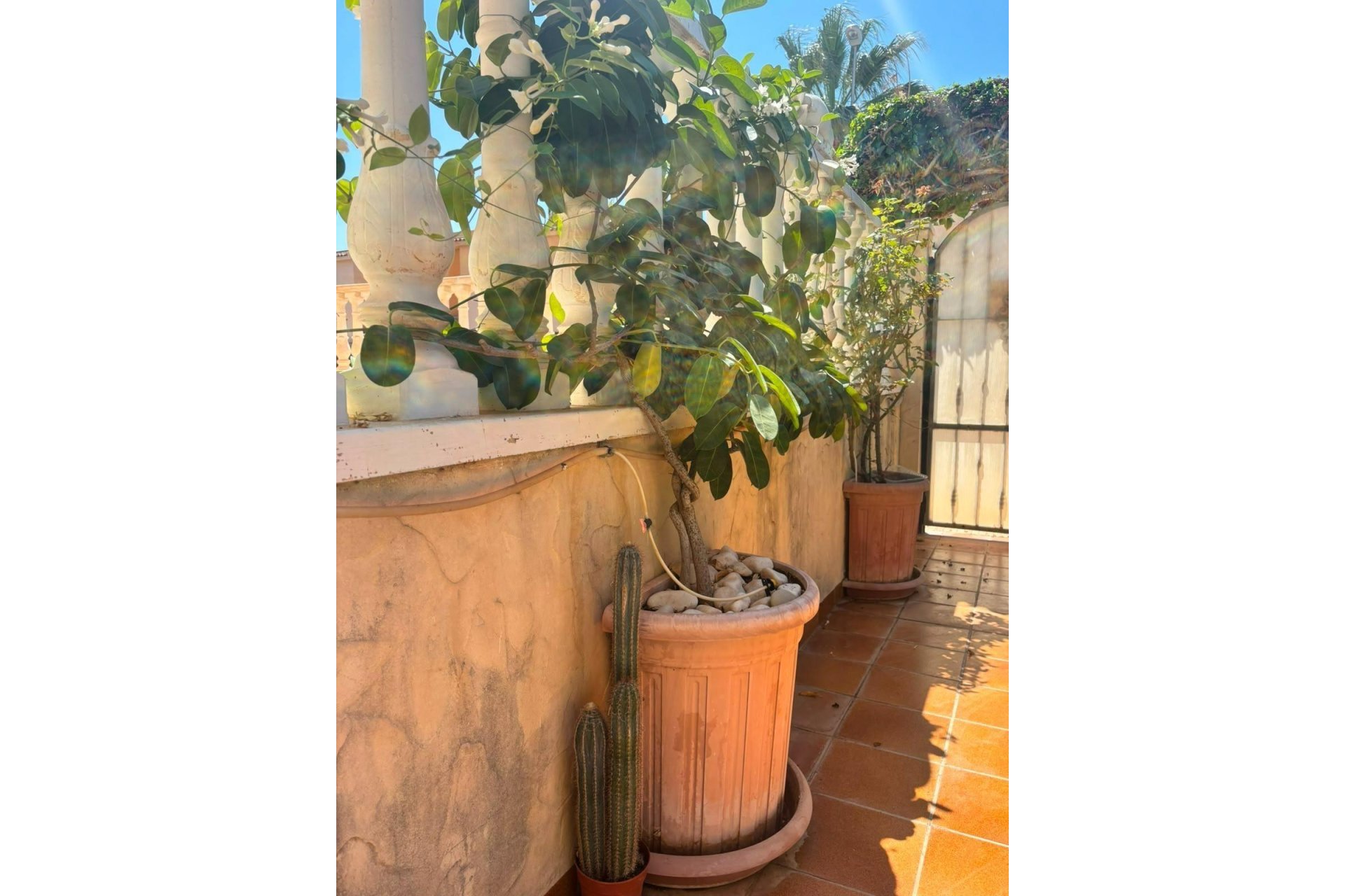 Revente - Villa -
Orihuela Costa - Lomas de Cabo Roig
