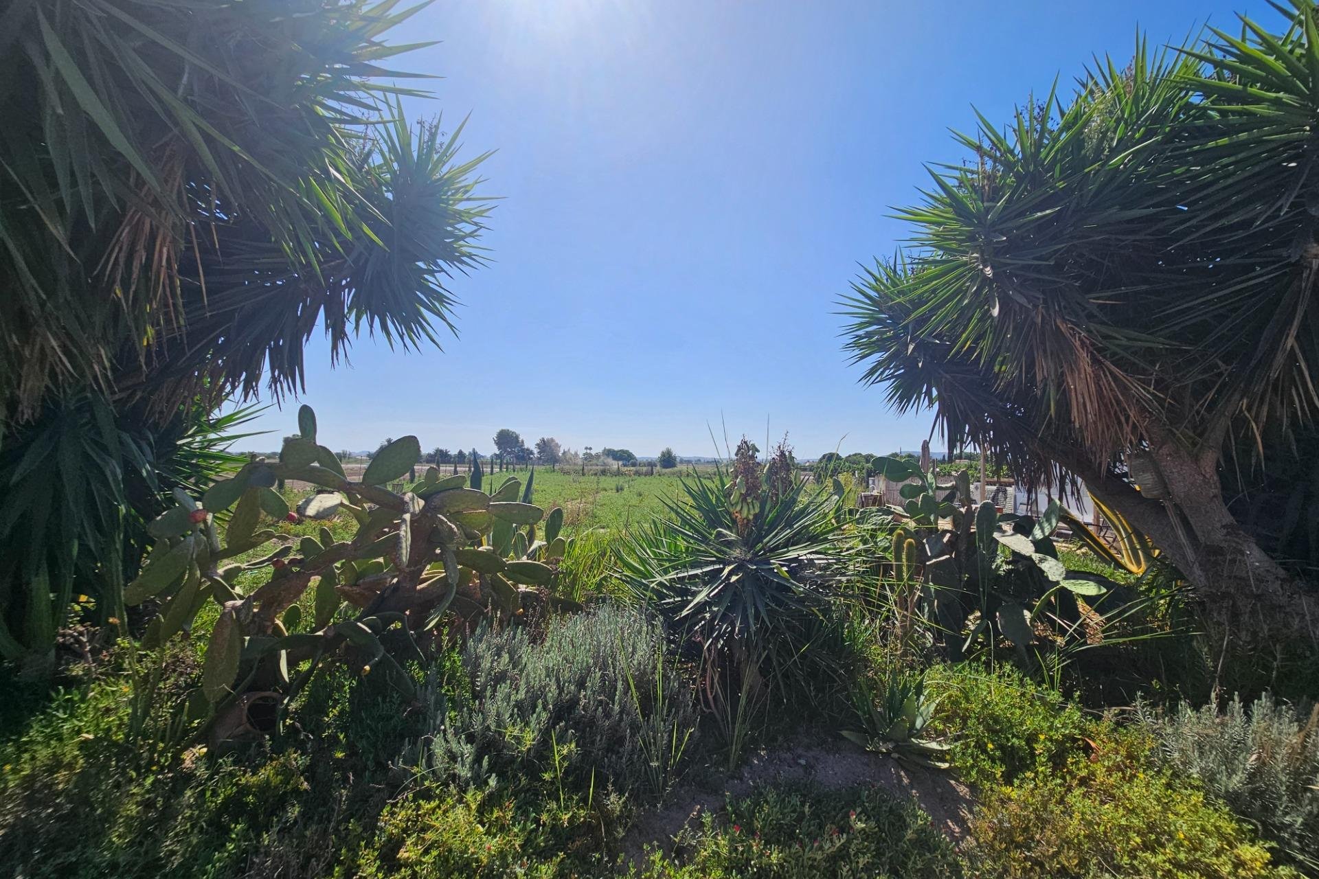 Revente - Villa -
Orihuela - Molins-campaneta-san Bartolomé