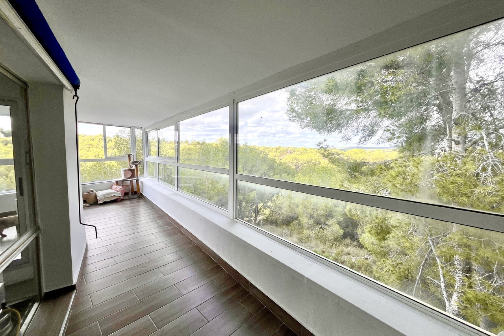 Revente - Villa -
Pinar de Campoverde - Inland