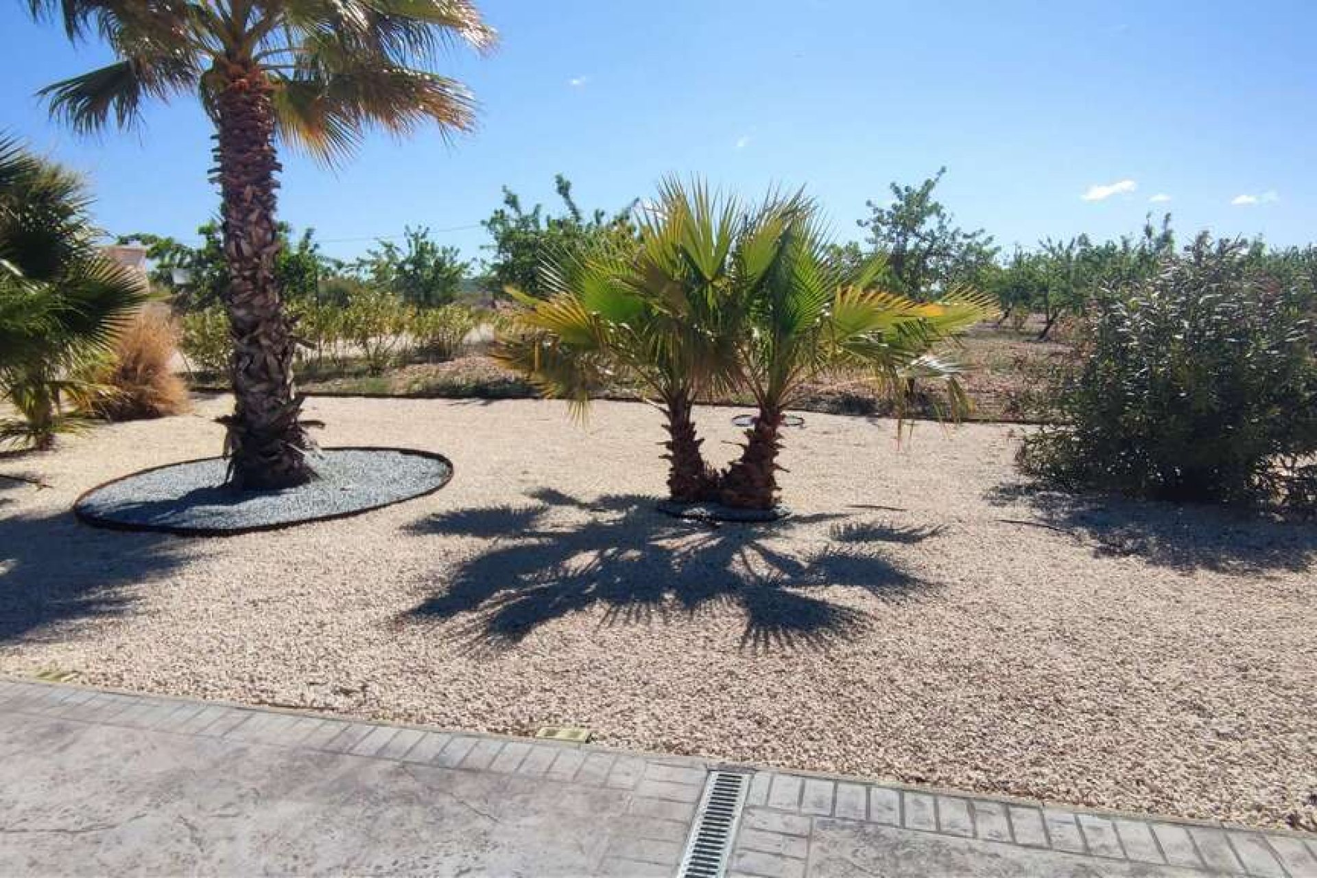 Revente - Villa -
Pinoso - Inland
