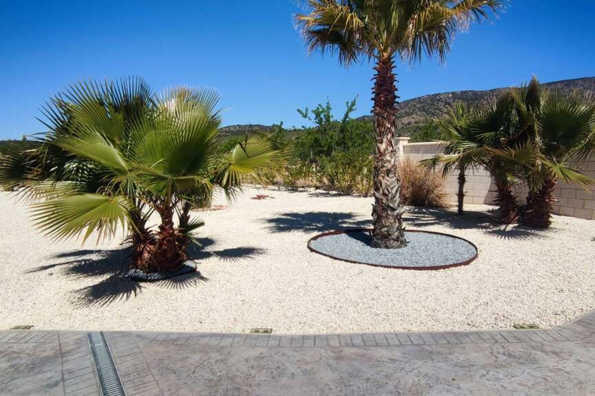 Revente - Villa -
Pinoso - Inland