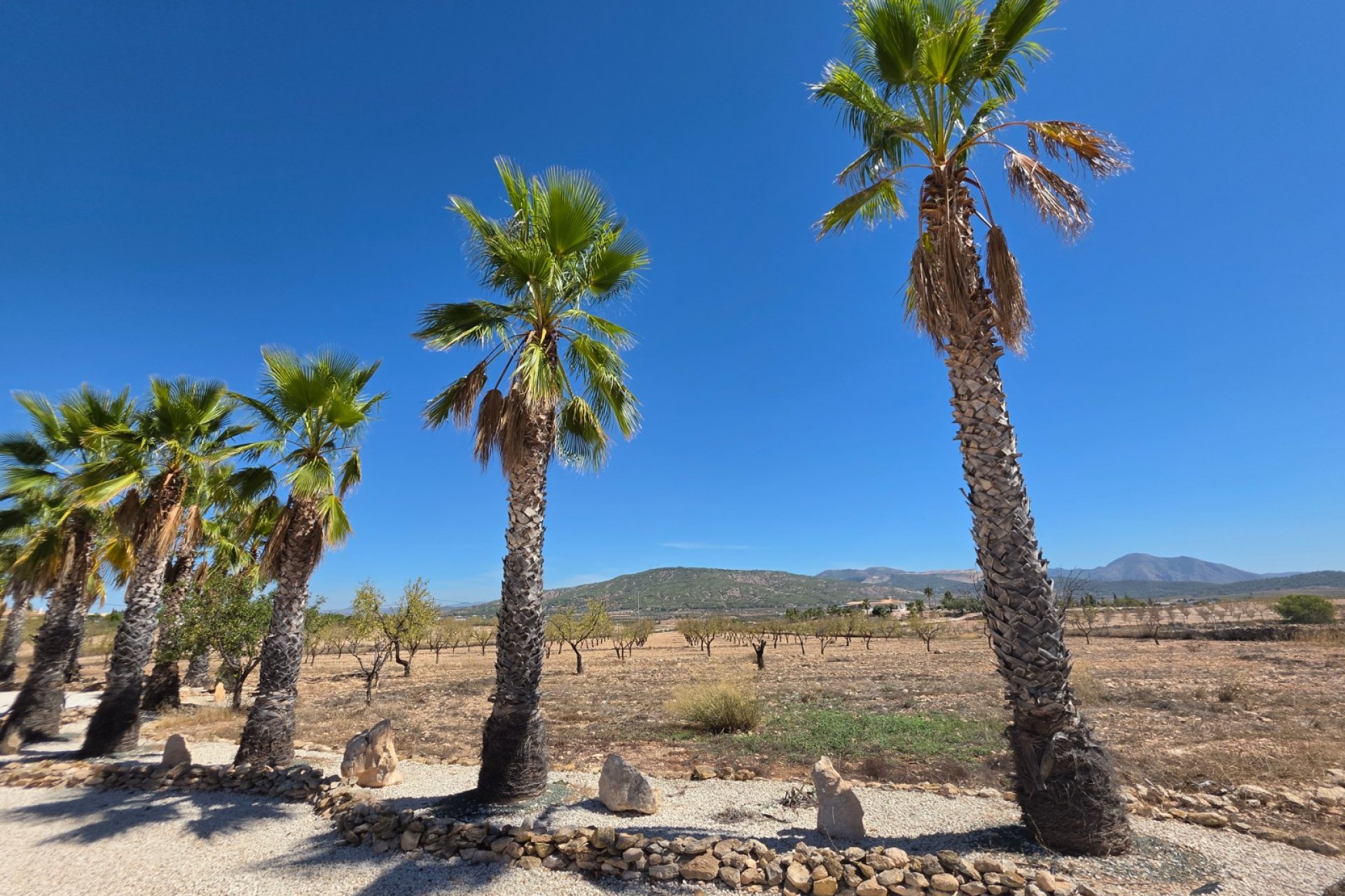 Revente - Villa -
Pinoso - Inland