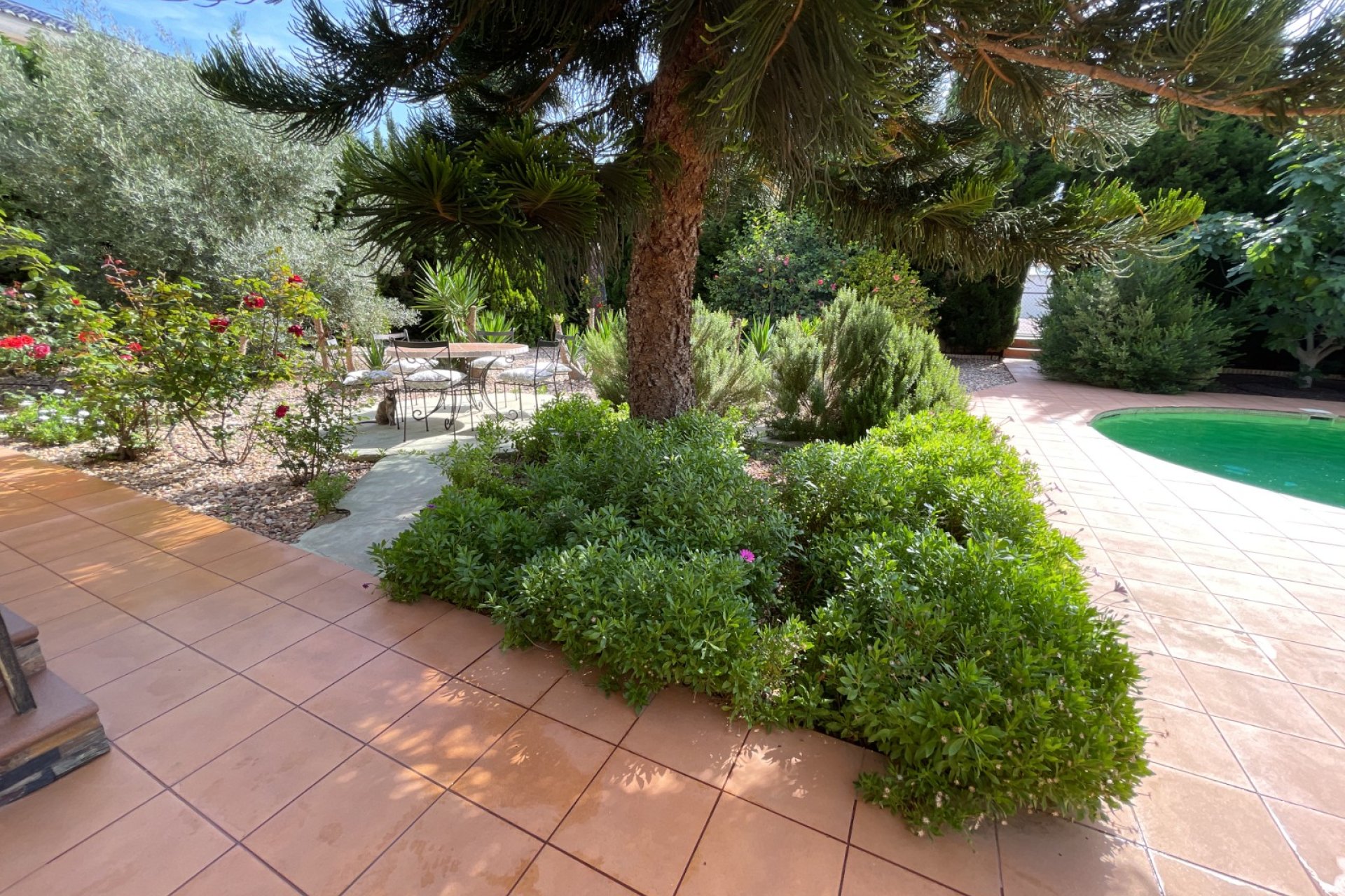 Revente - Villa -
Rojales - Inland