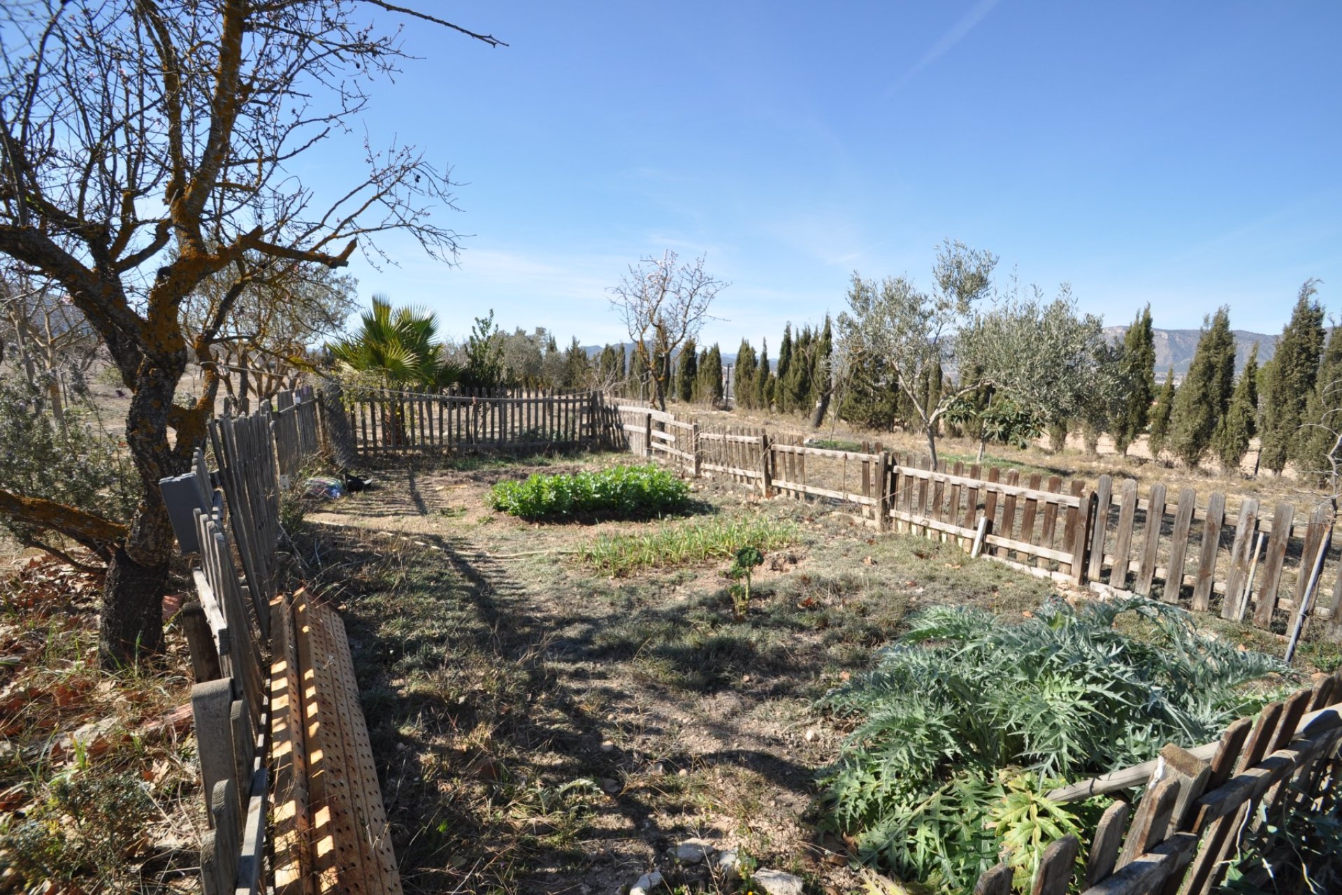 Revente - Villa -
Salinas - Inland