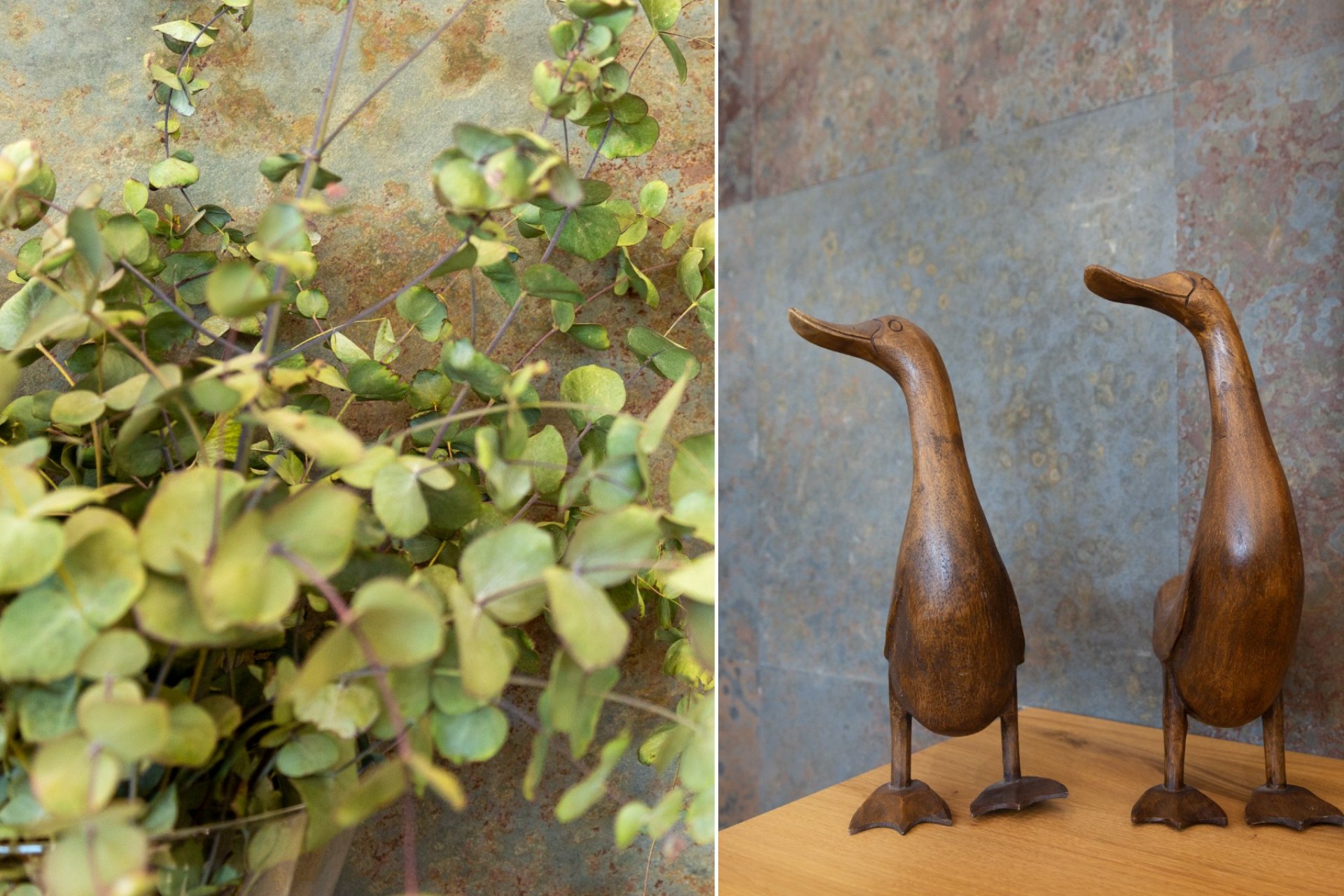 Revente - Villa -
San Vicente del Raspeig - Inland