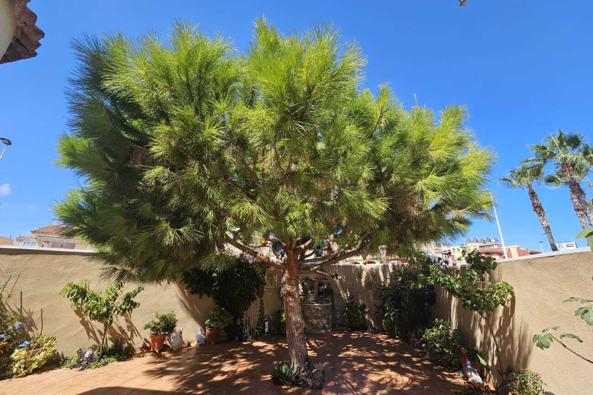 Revente - Villa -
Torrevieja - Torre Del Moro