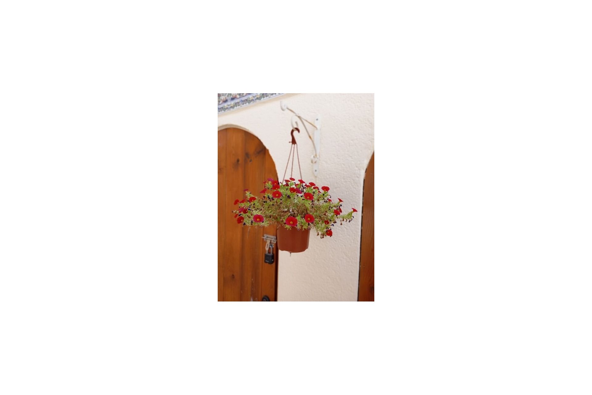 Revente - Villa -
Villamartin - Costa Blanca