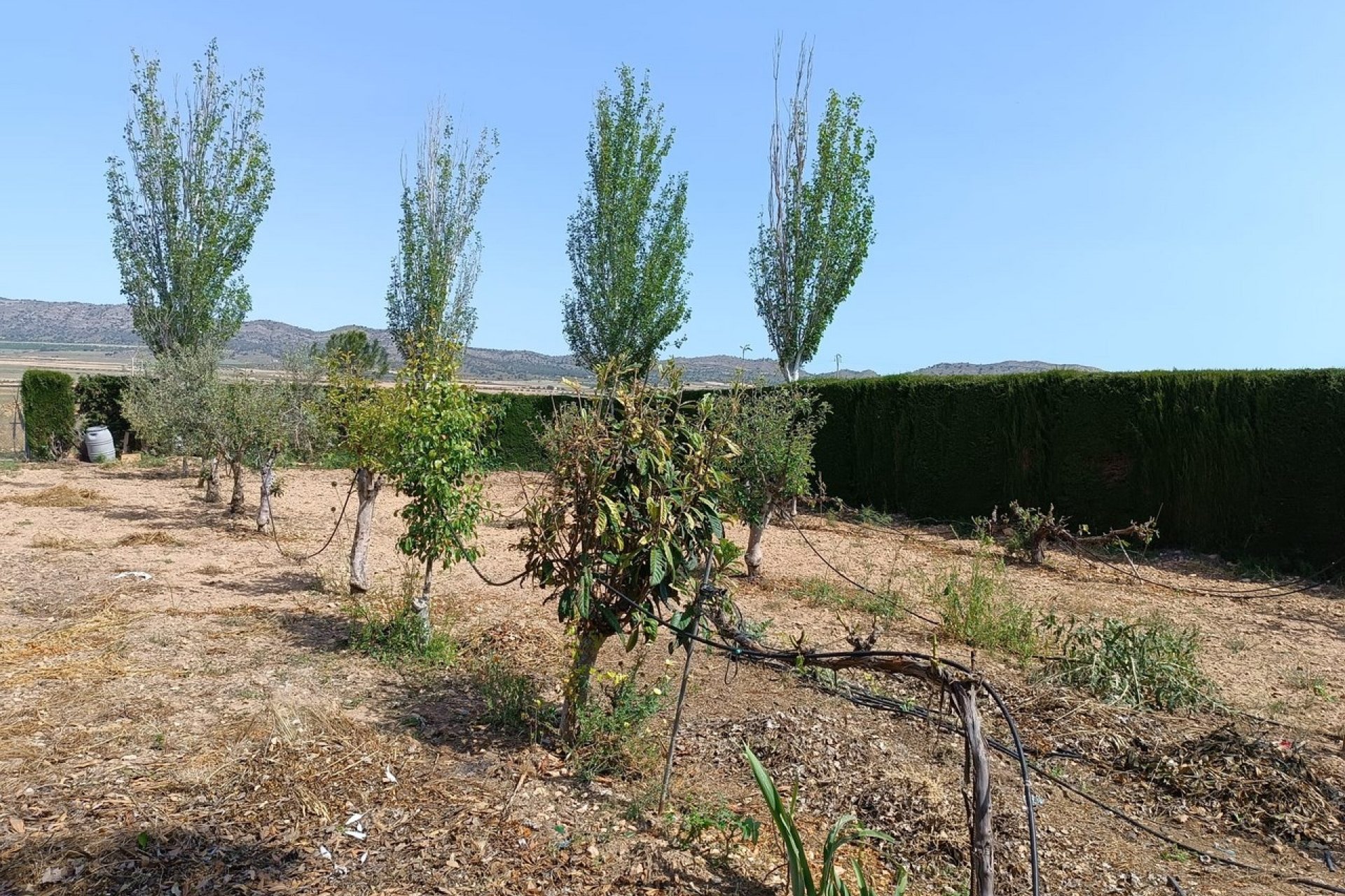 Revente - Villa -
Yecla - Inland