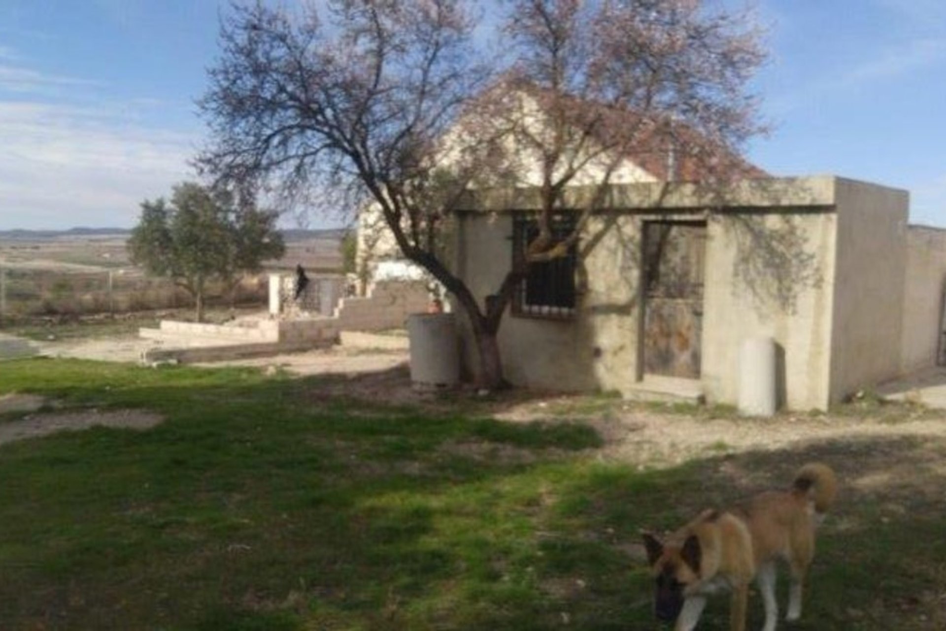 Revente - Villa -
Yecla - Inland