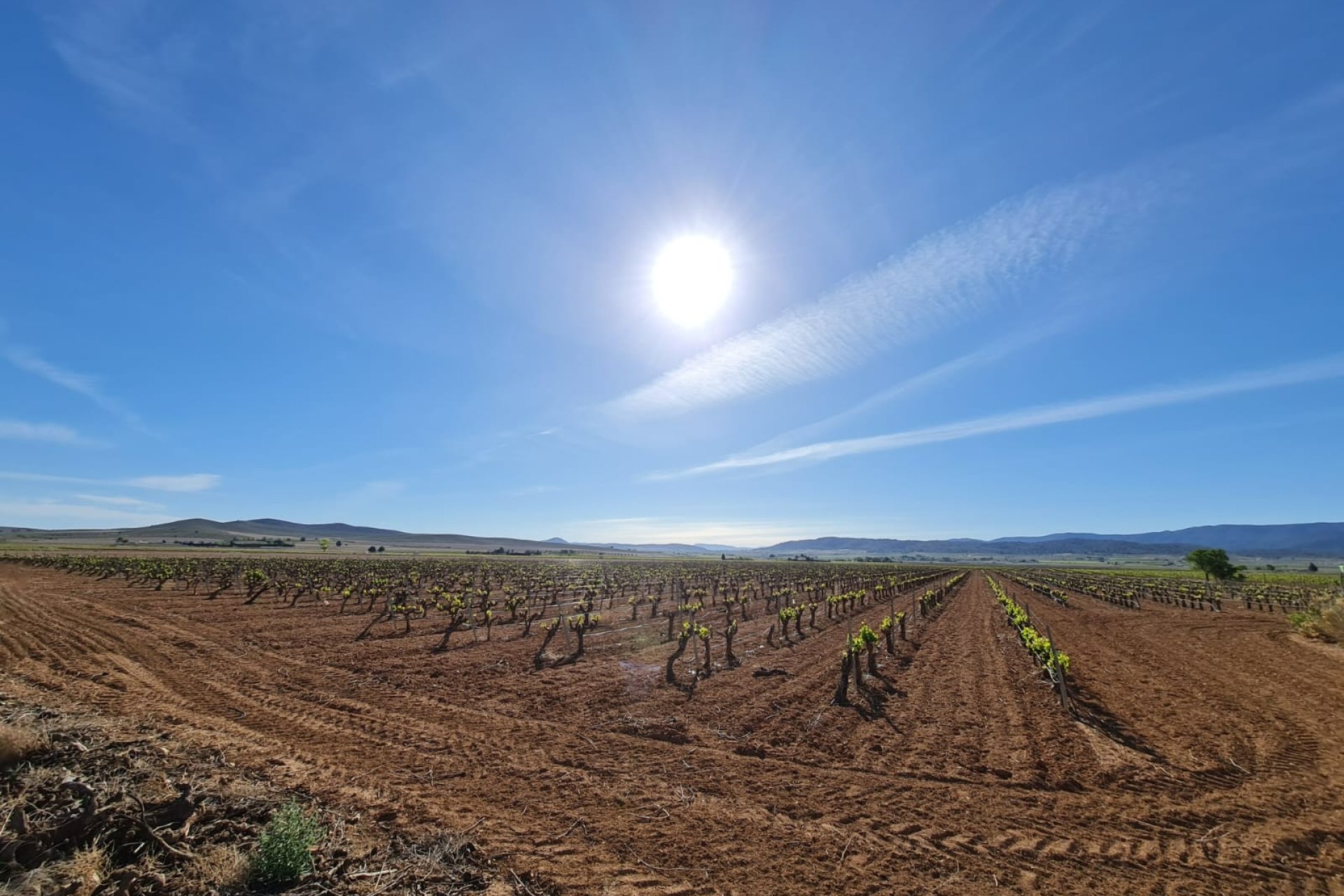 Revente - Villa -
Yecla - Inland