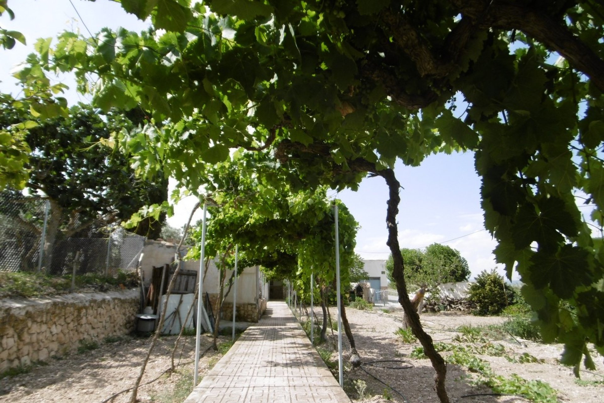 Revente - Villa -
Yecla - Inland