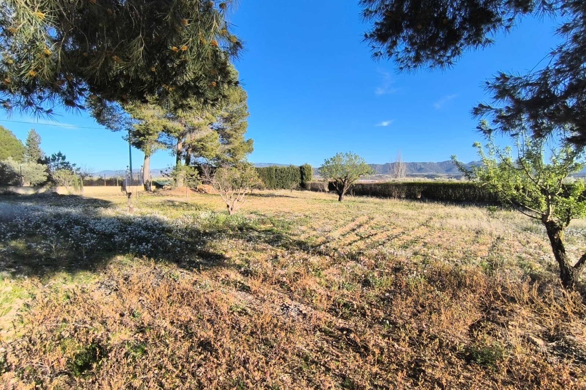 Revente - Villa -
Yecla - Inland