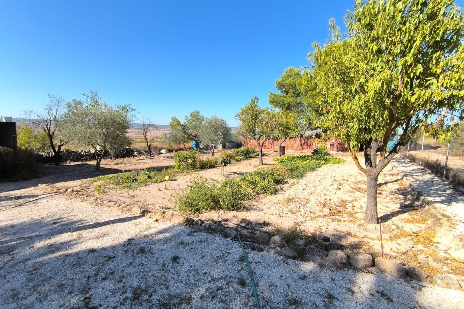 Revente - Villa -
Yecla - Inland