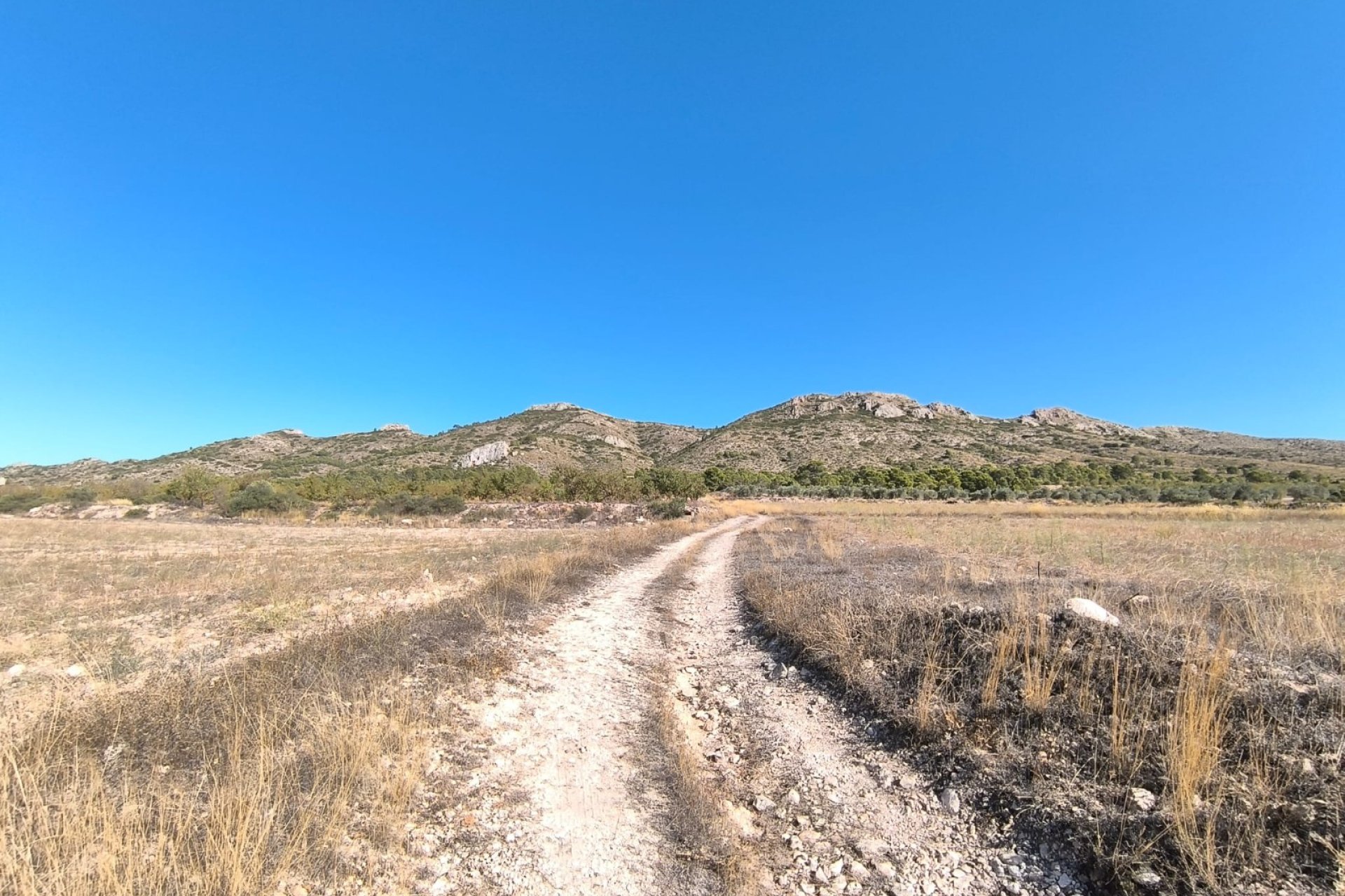 Revente - Villa -
Yecla - Inland