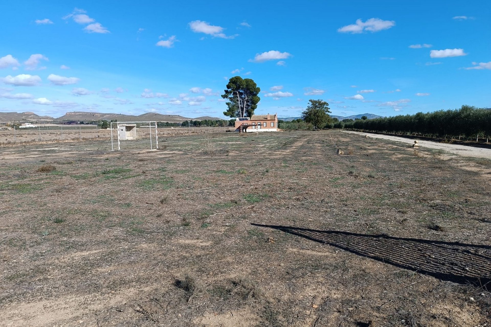 Revente - Villa -
Yecla - Inland