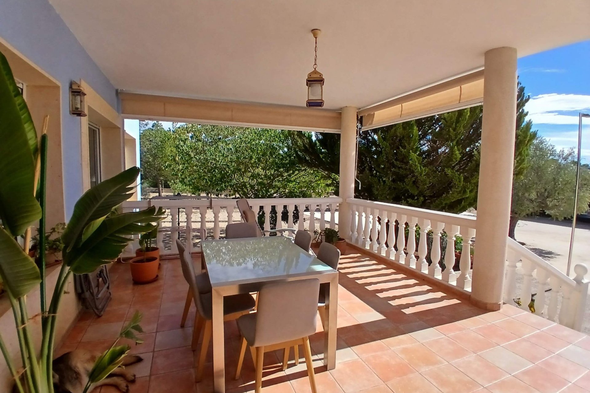 Revente - Villa -
Yecla - Inland