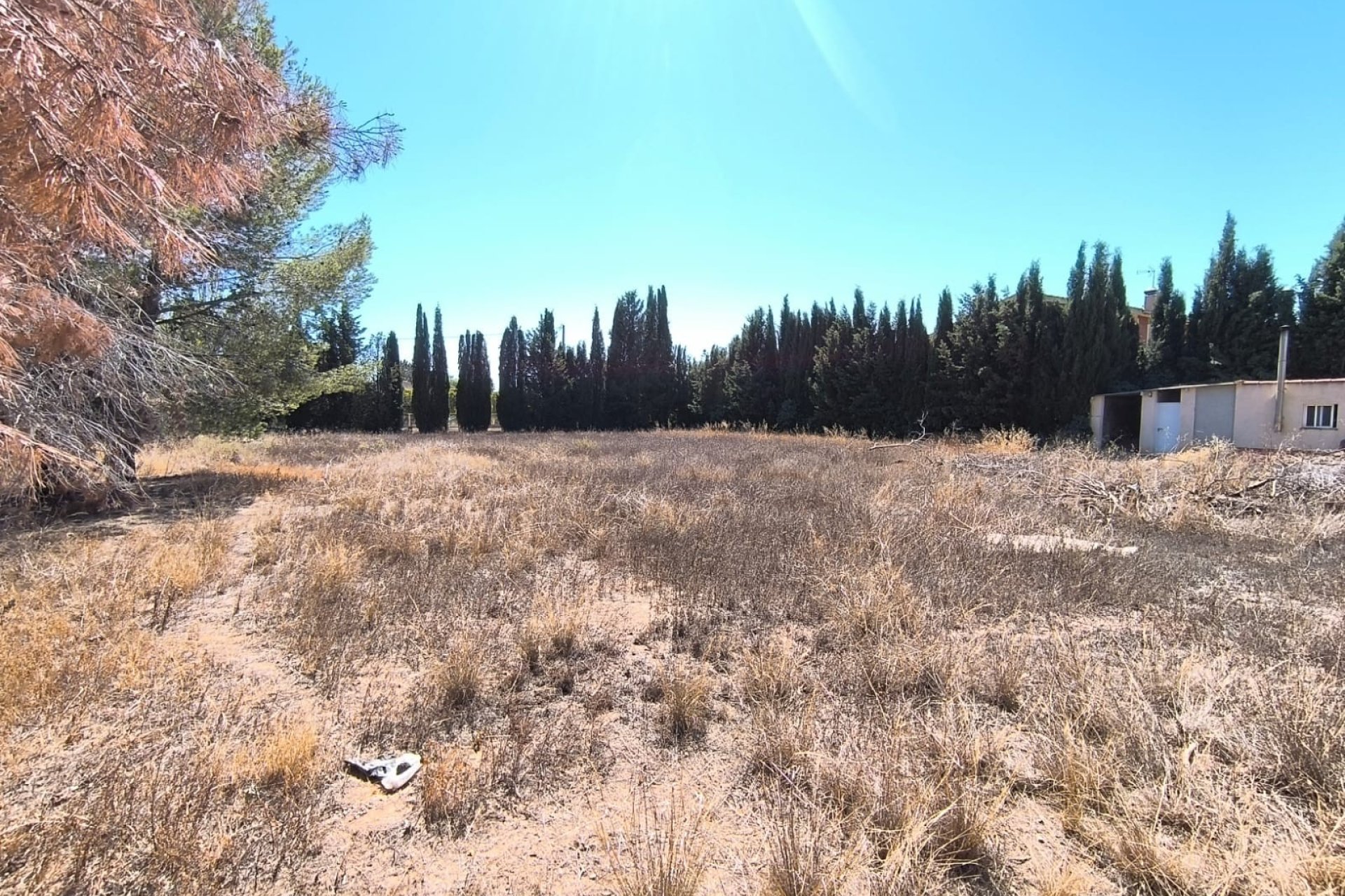 Revente - Villa -
Yecla - Inland