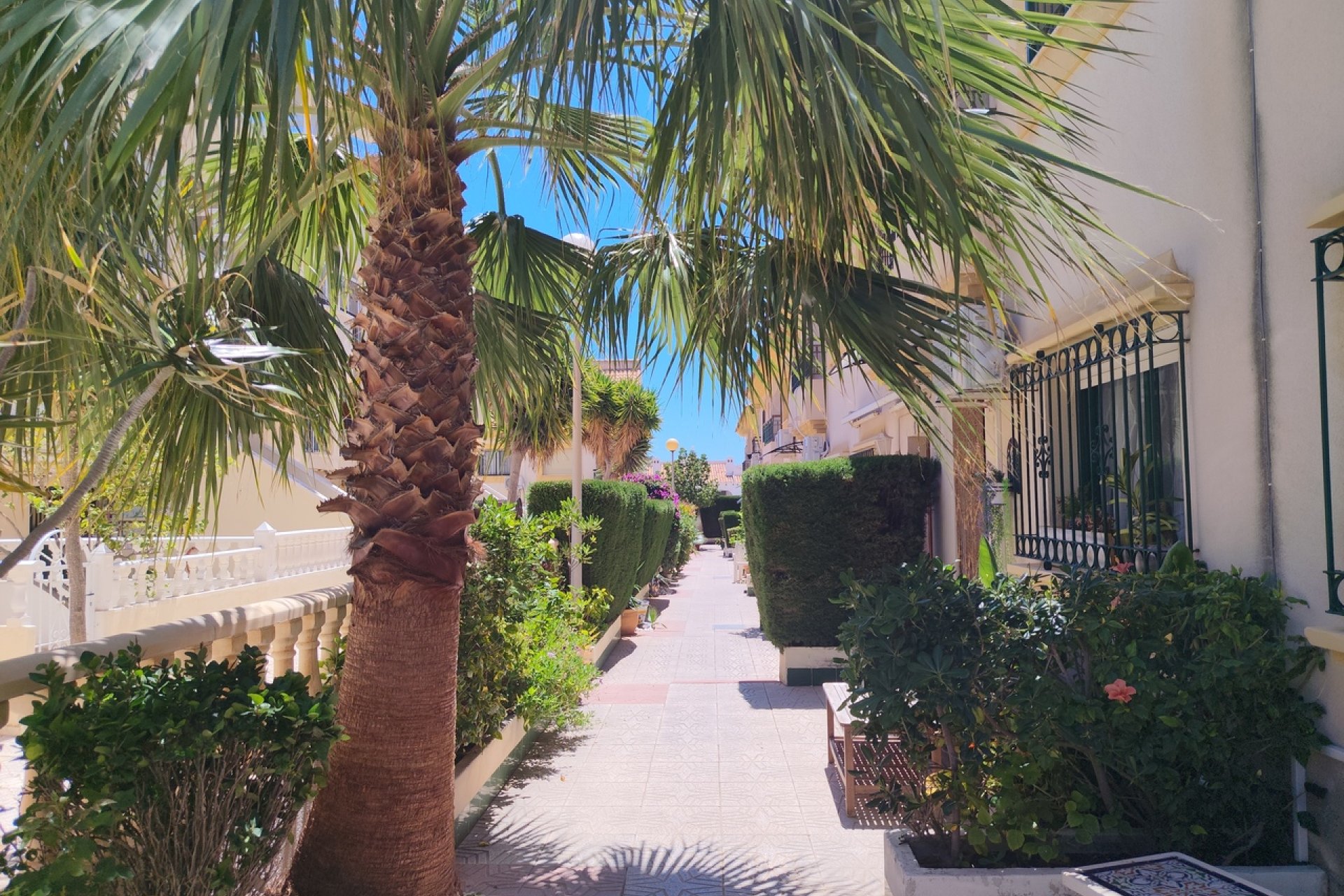 Revânzare - Casă înșiruită -
La Zenia - Costa Blanca