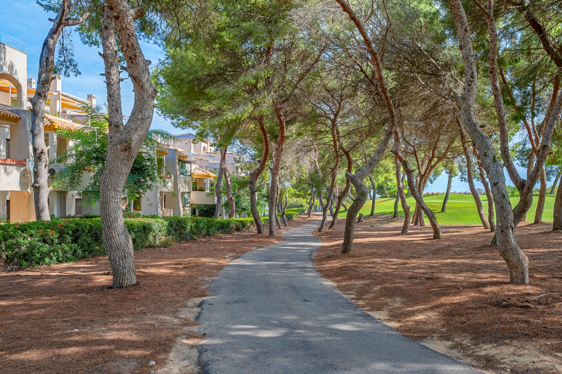 Revânzare - Mansardă -
Dehesa de Campoamor - Costa Blanca