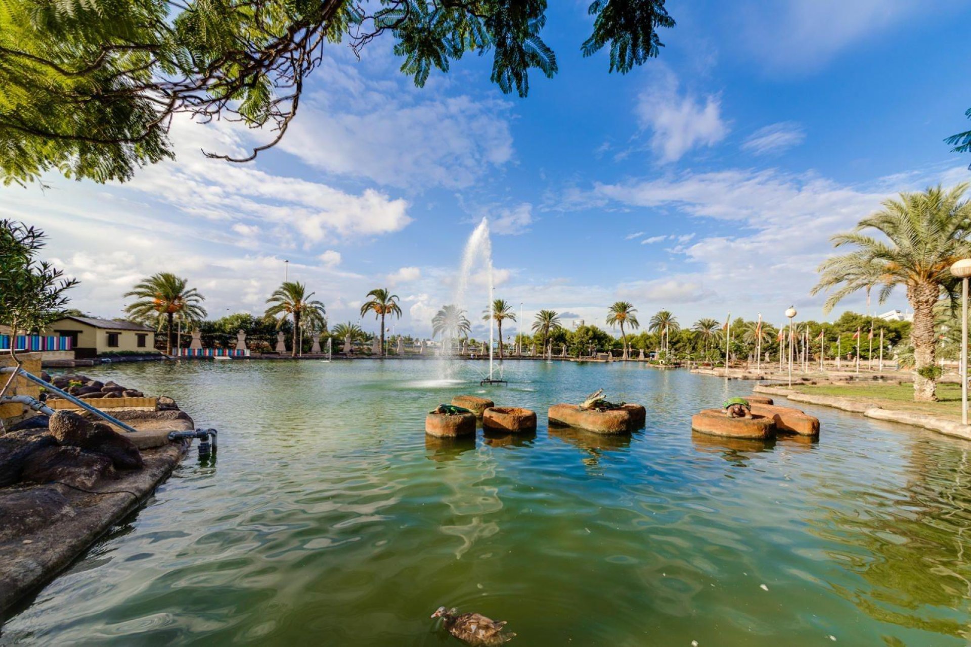 Revânzare - Mansardă -
Torrevieja - Centro