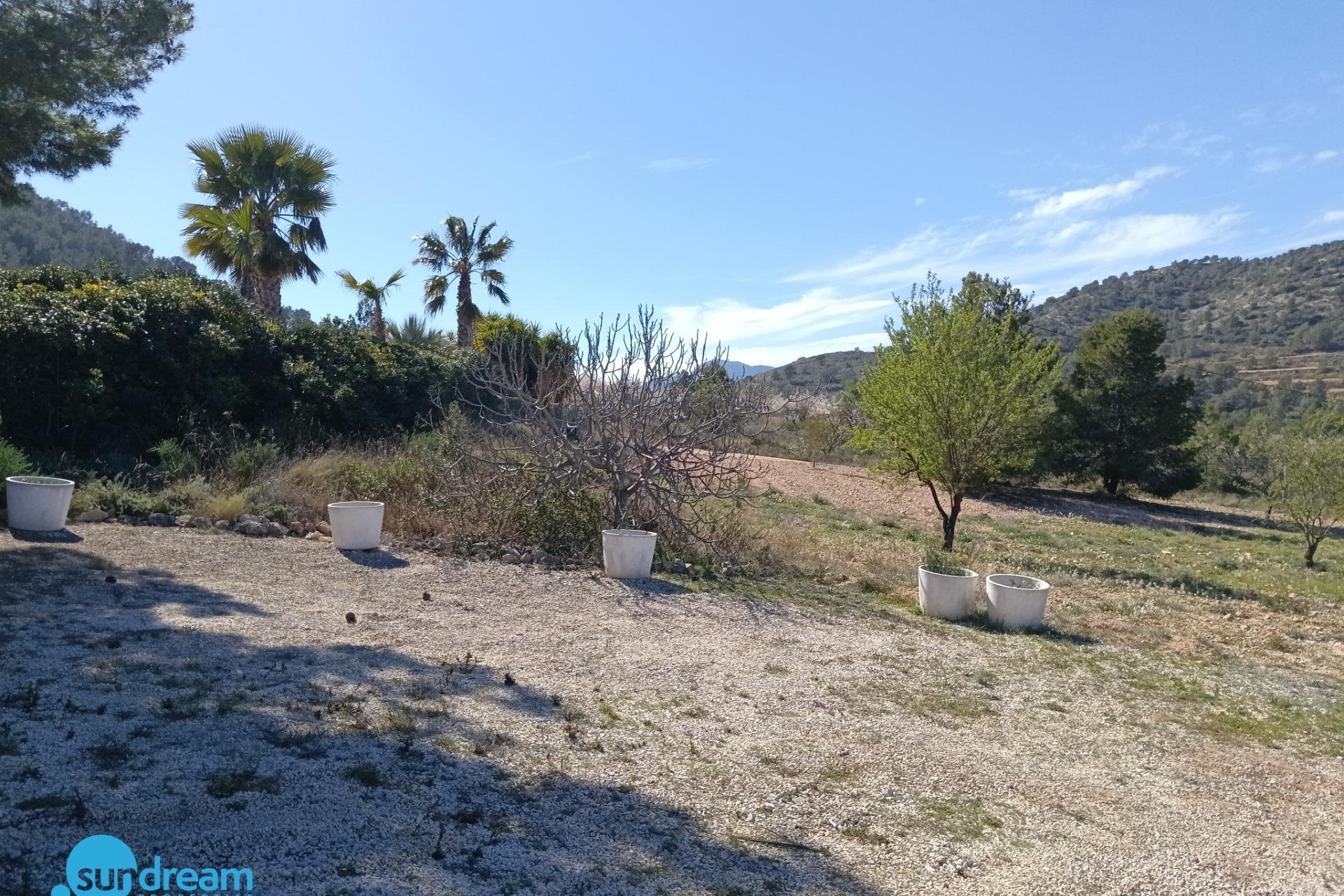 Revânzare - Vilă -
Abanilla