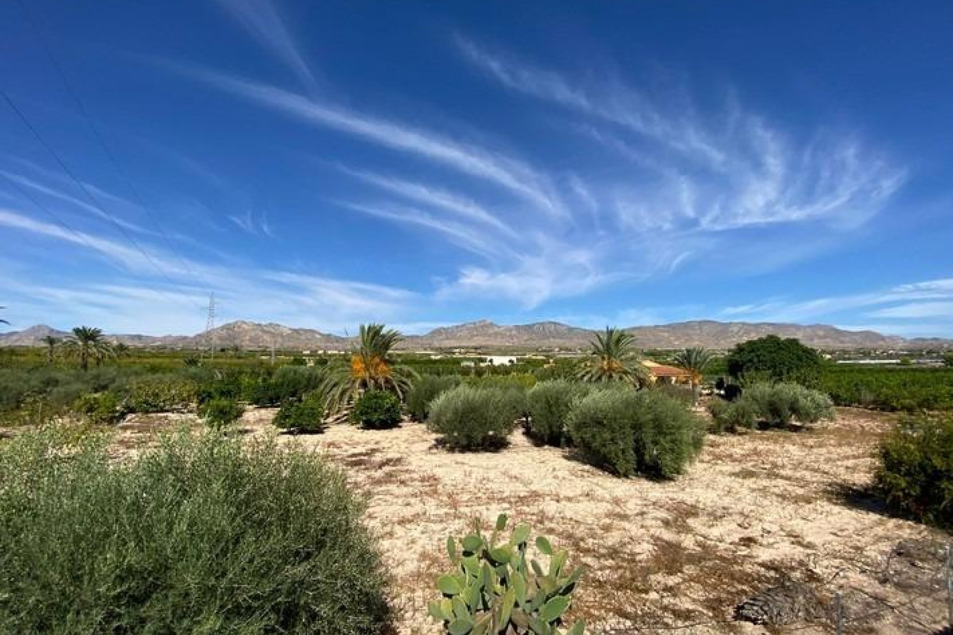 Revânzare - Vilă -
Albatera - Campo De Albatera