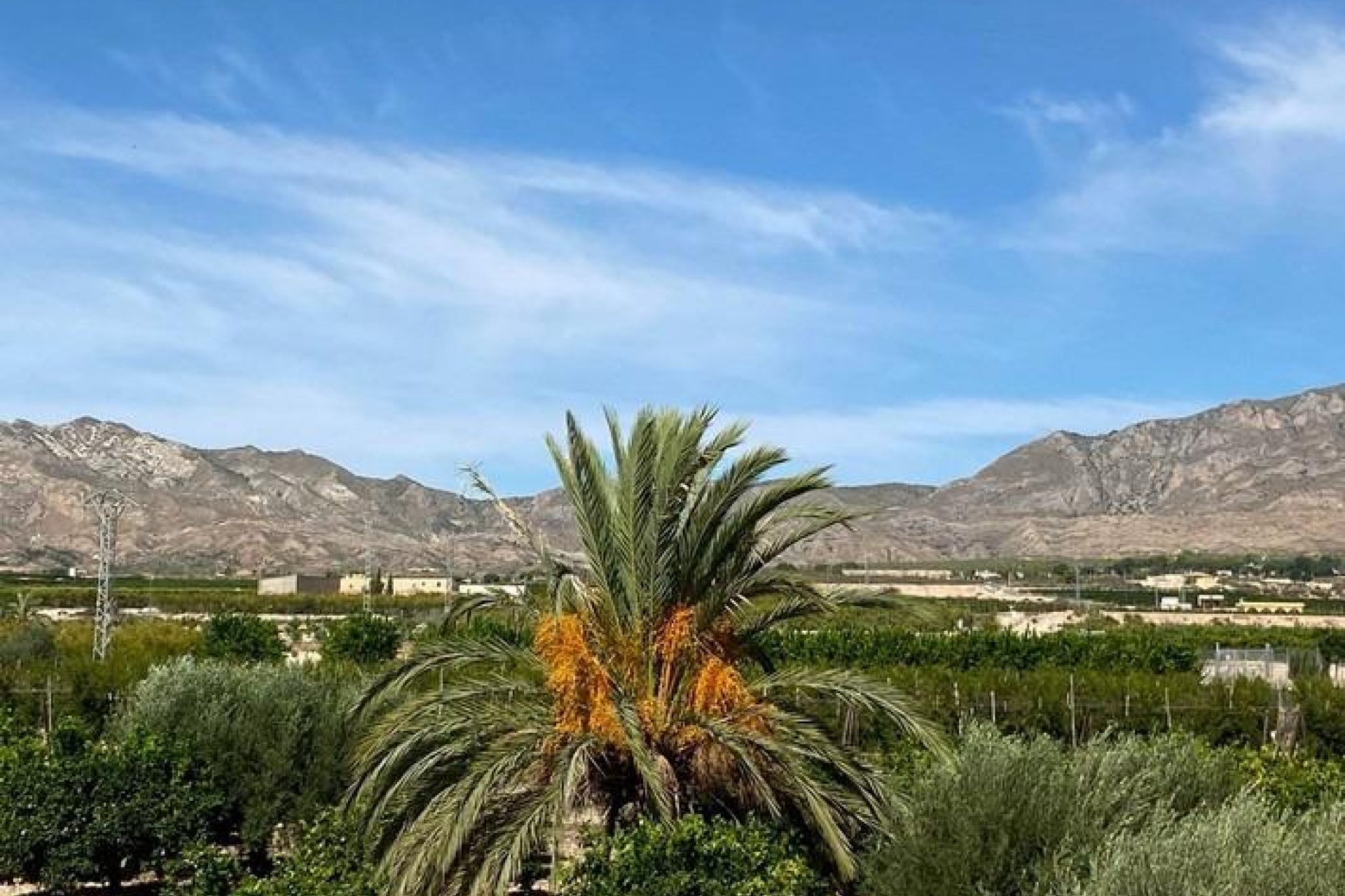 Revânzare - Vilă -
Albatera - Campo De Albatera