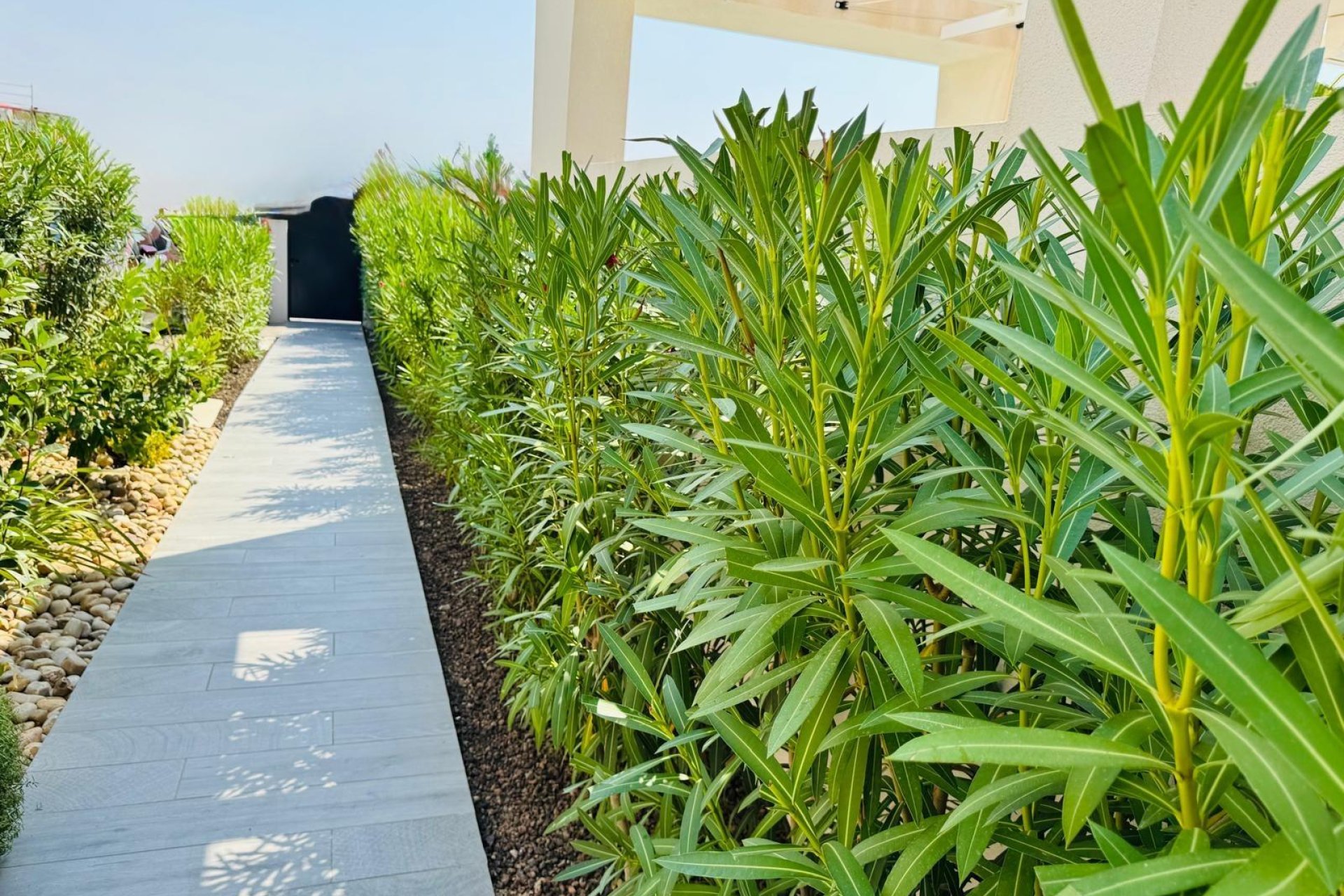 Revânzare - Vilă -
Algorfa - Club De Golf La Finca