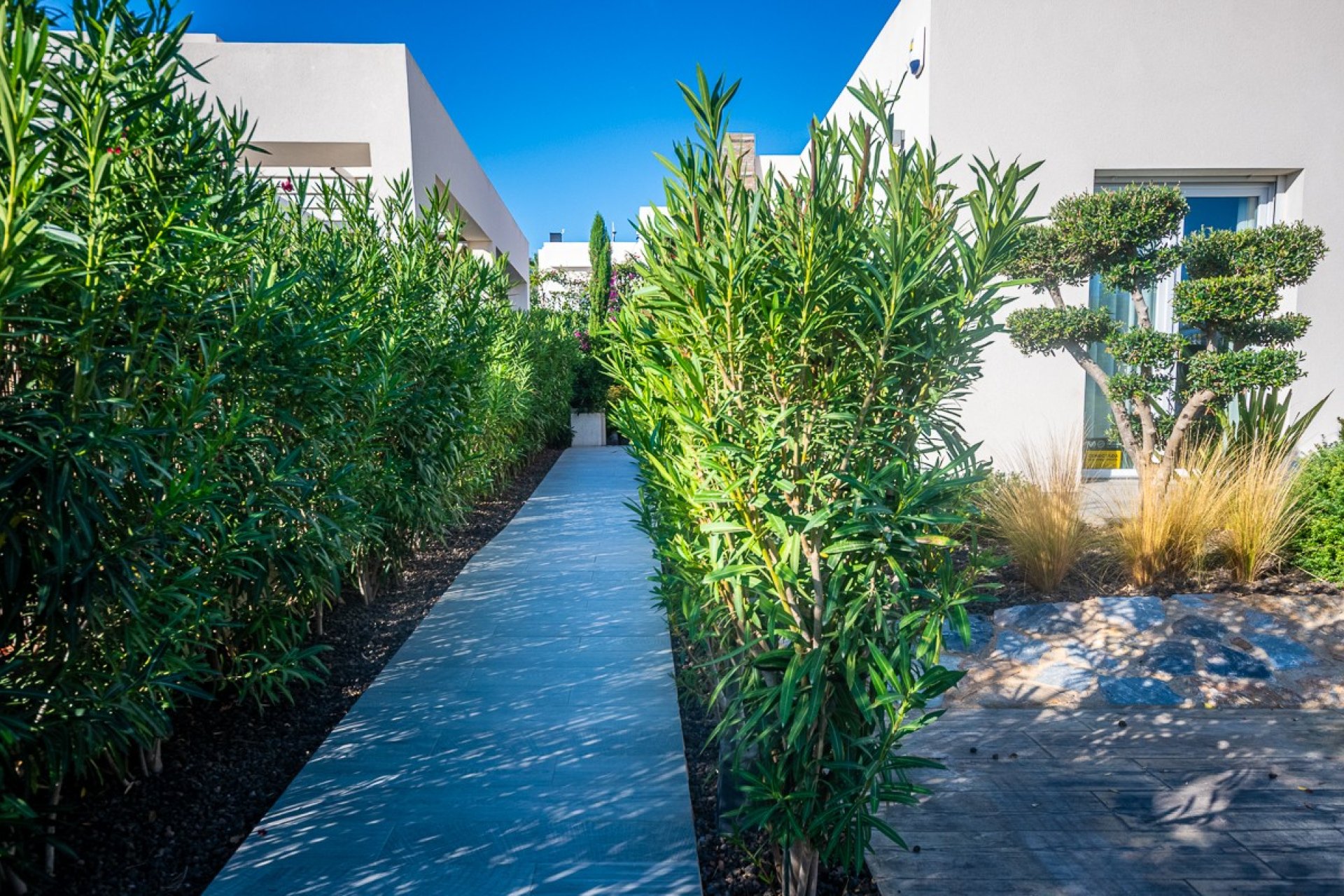 Revânzare - Vilă -
Algorfa - Inland