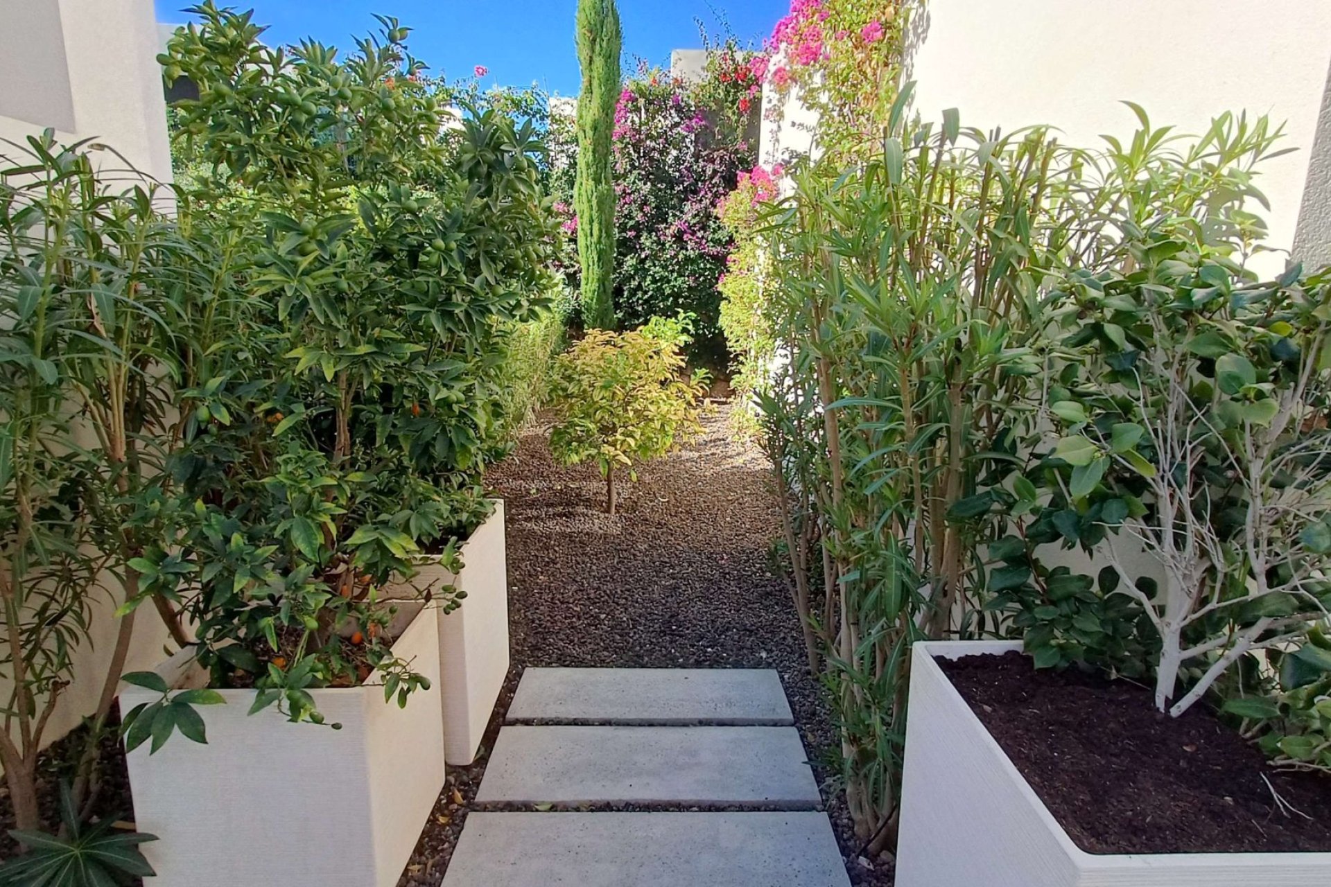 Revânzare - Vilă -
Algorfa - Inland