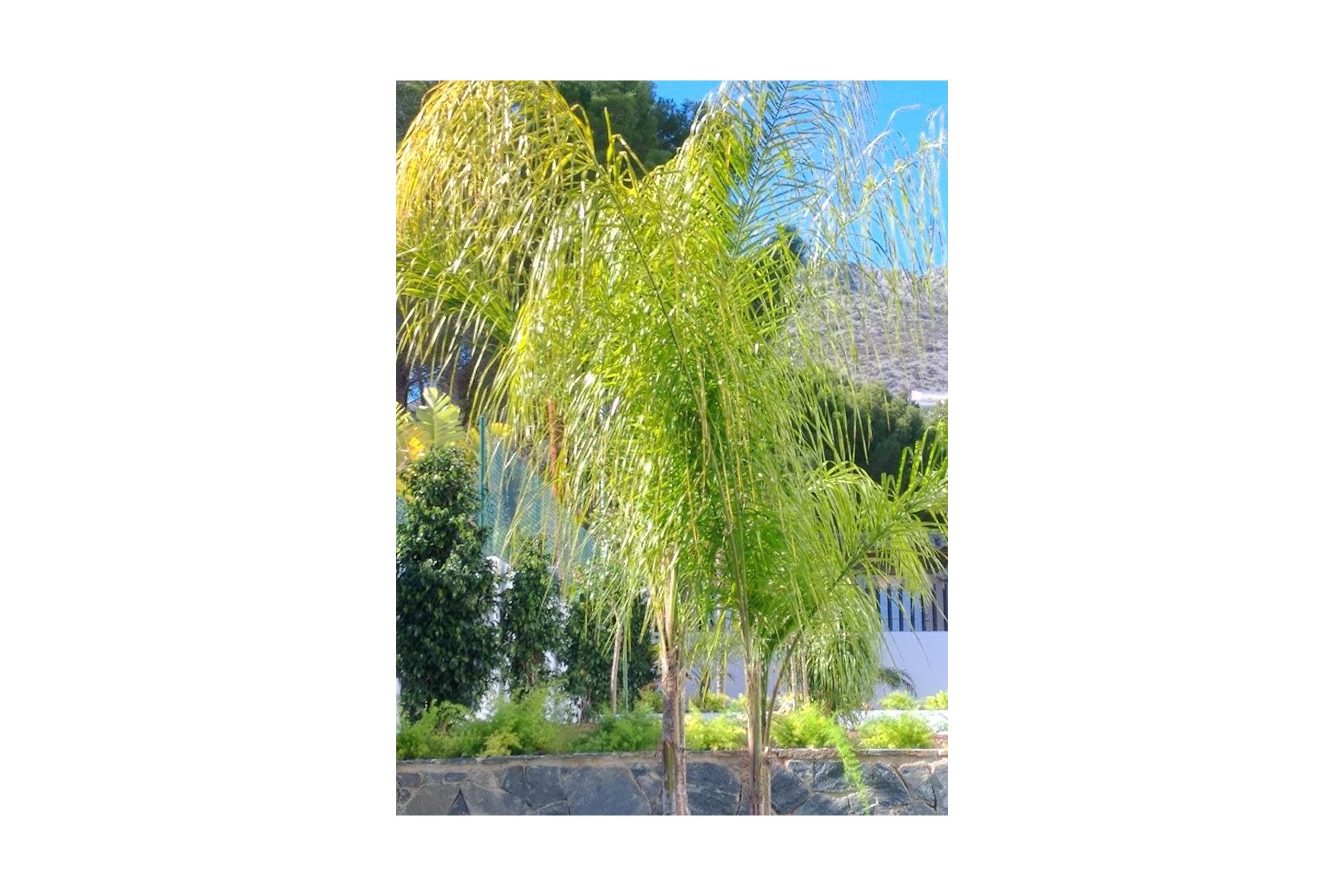 Revânzare - Vilă -
Altea - Costa Blanca