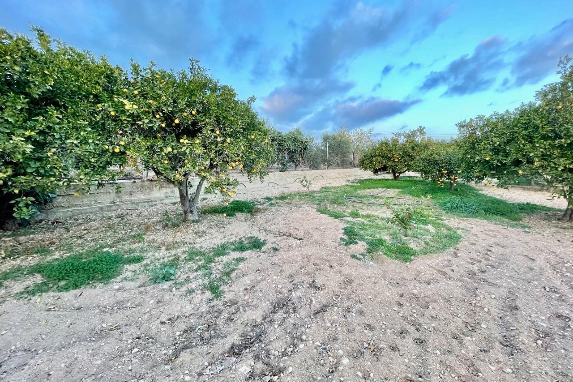 Revânzare - Vilă -
Benidorm - Salto Del Agua