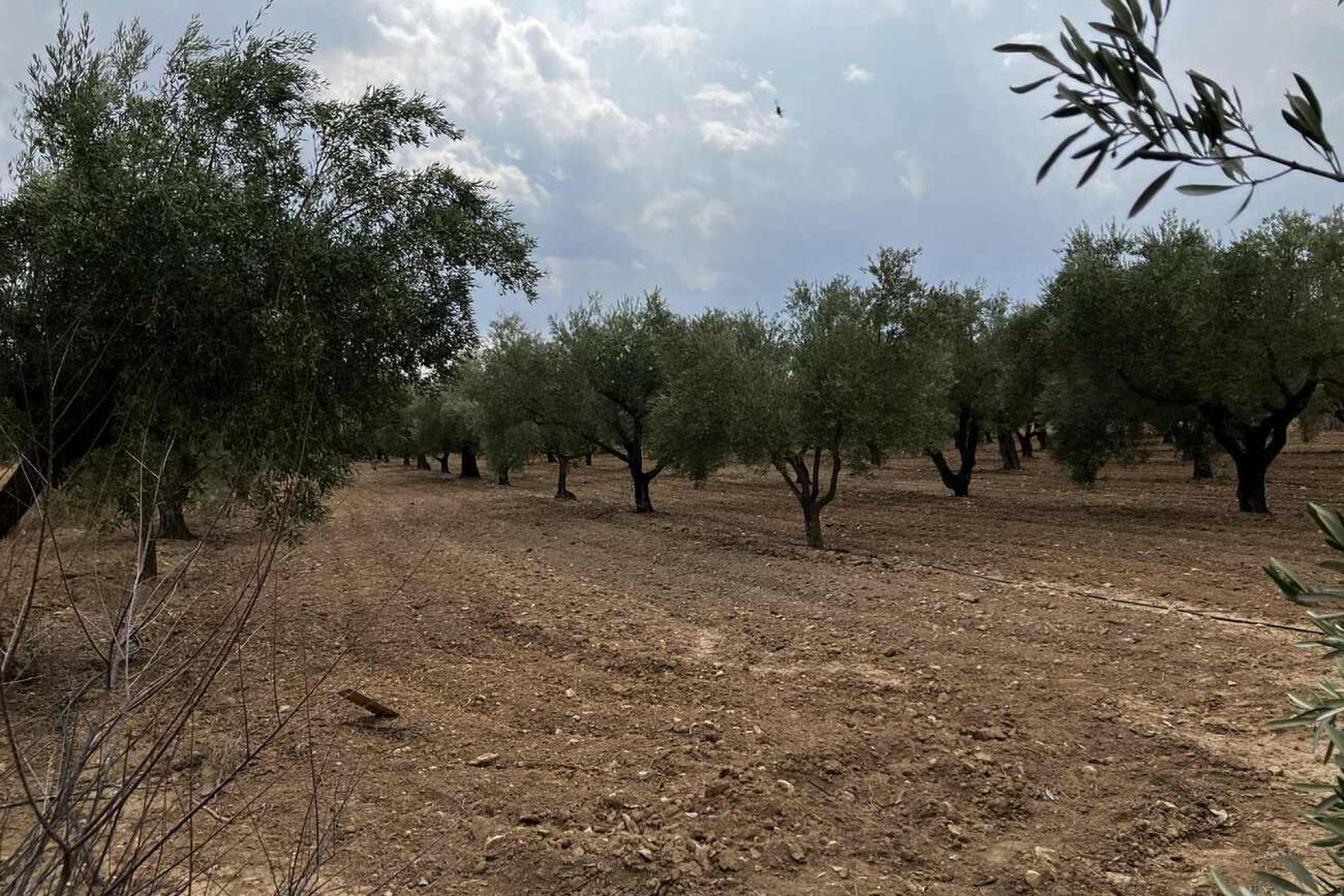 Revânzare - Vilă -
Biar - Costa Blanca