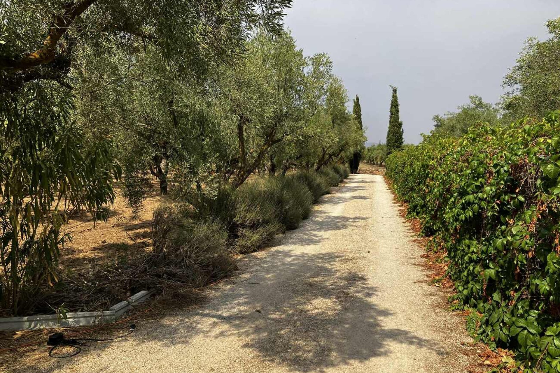 Revânzare - Vilă -
Biar - Costa Blanca