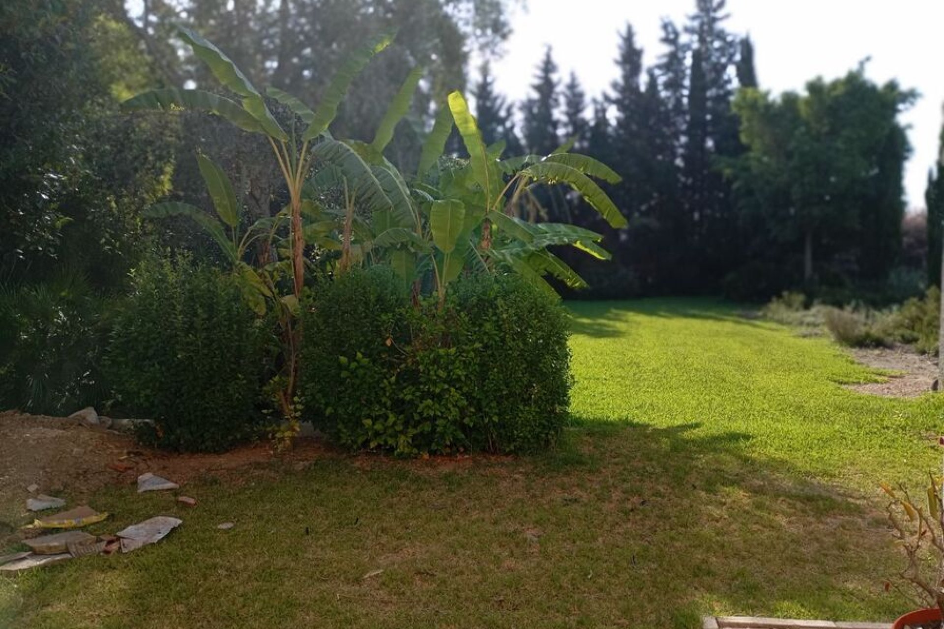 Revânzare - Vilă -
Daya Nueva - Costa Blanca