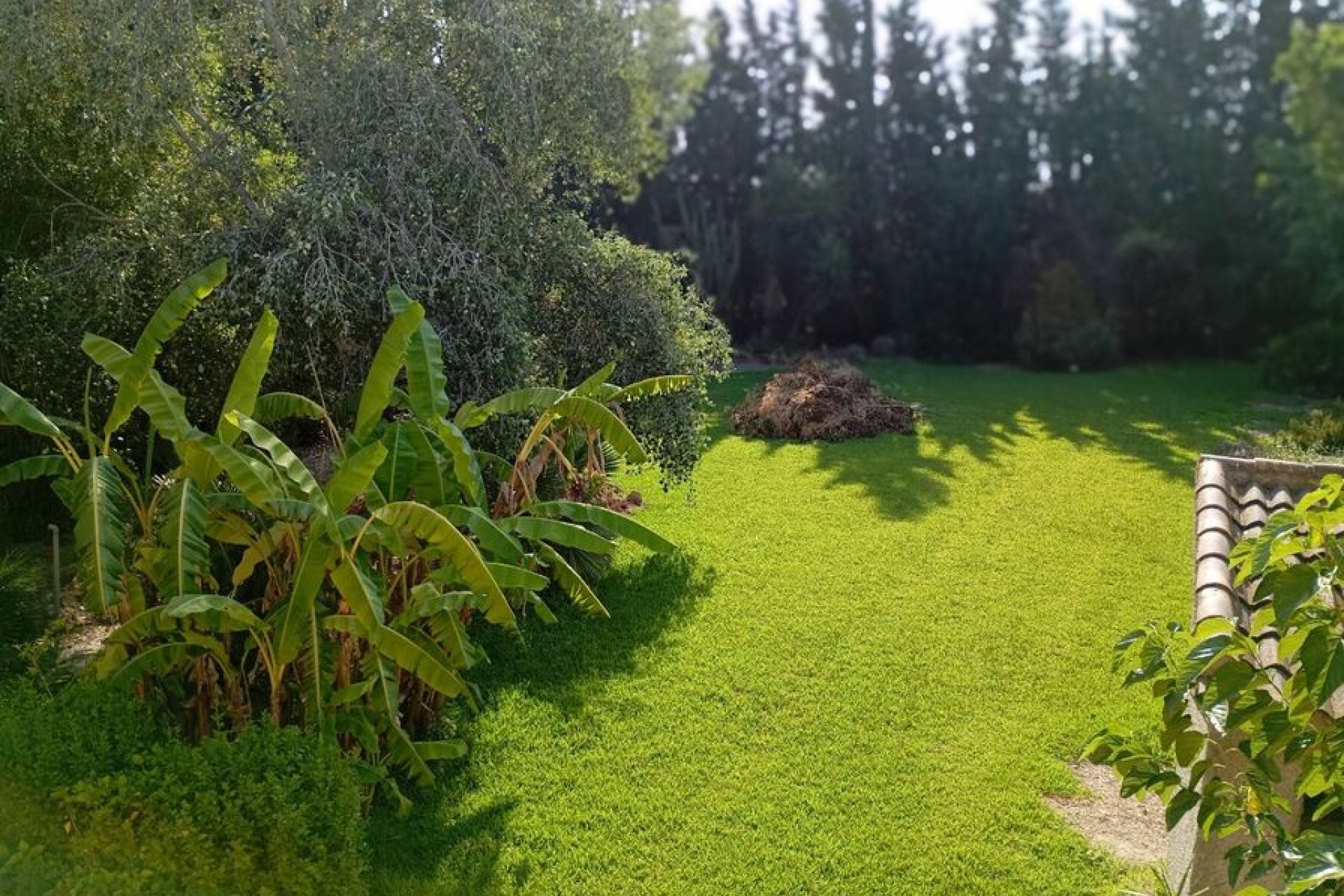 Revânzare - Vilă -
Daya Nueva - Costa Blanca
