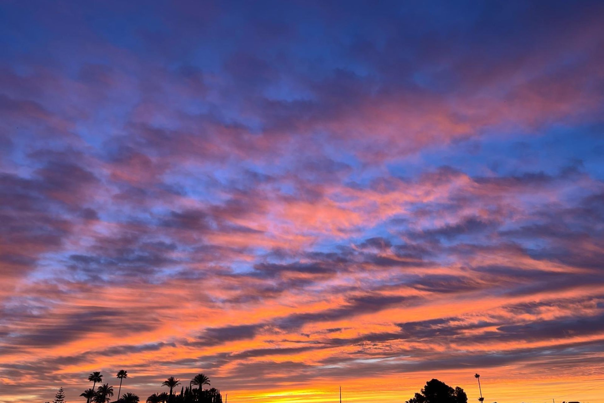 Revânzare - Vilă -
Dolores - Comunidad Valenciana