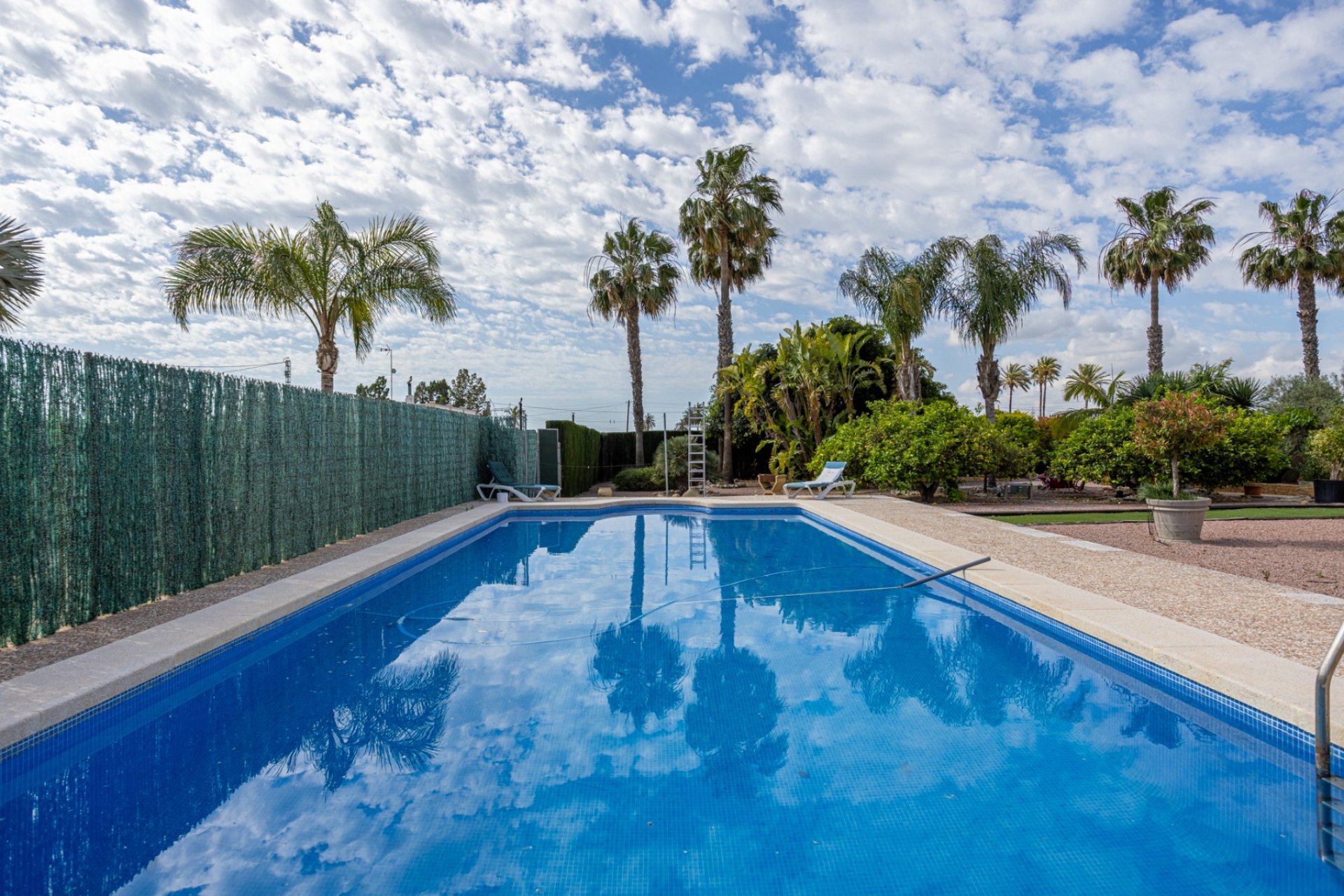 Revânzare - Vilă -
Elche - Costa Blanca