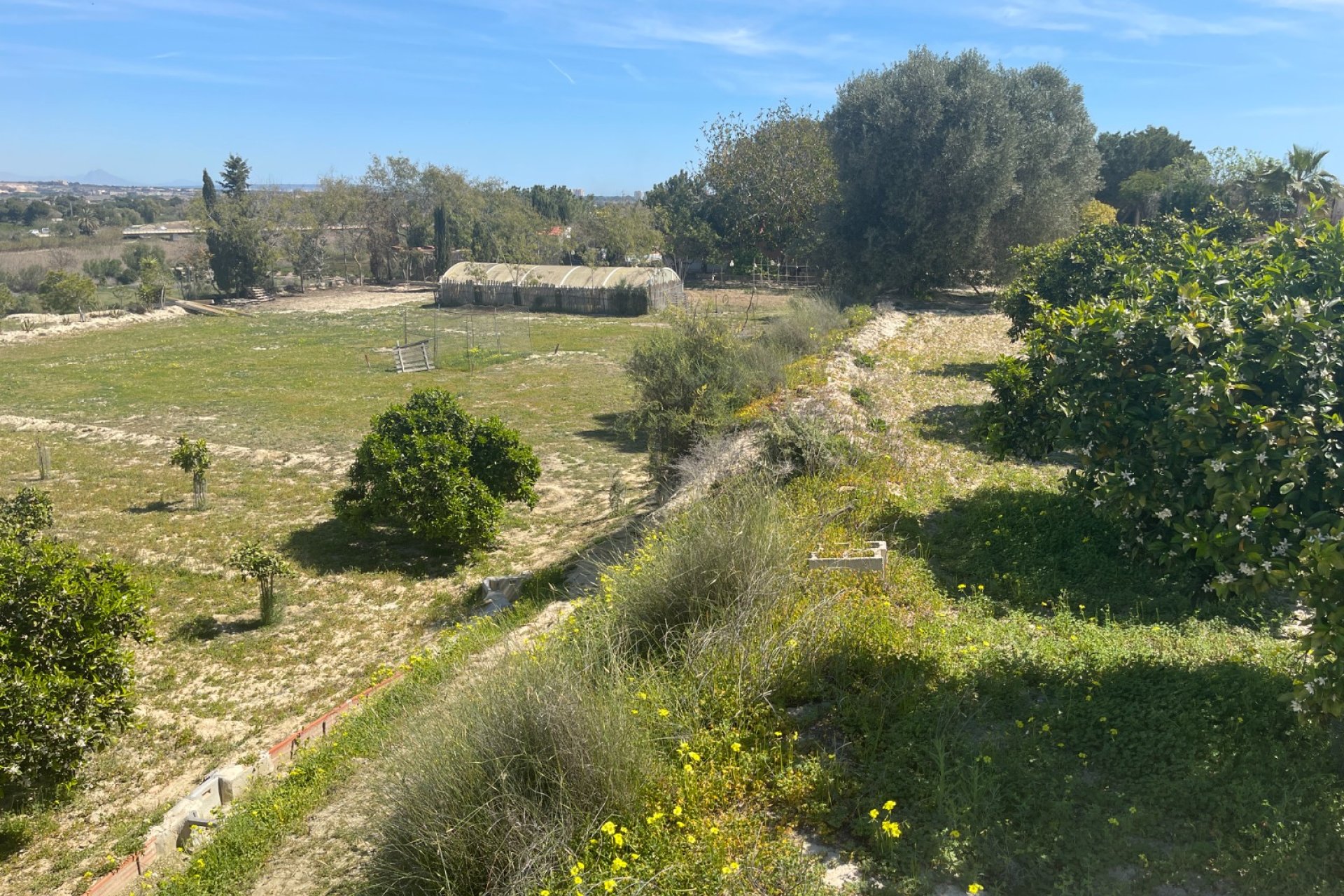 Revânzare - Vilă -
Guardamar del Segura - Costa Blanca