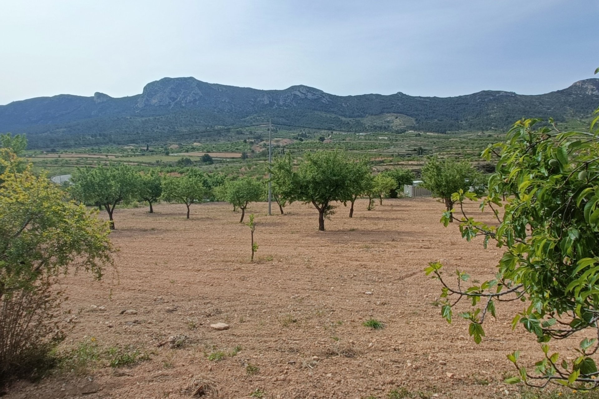 Revânzare - Vilă -
La Romana - Inland
